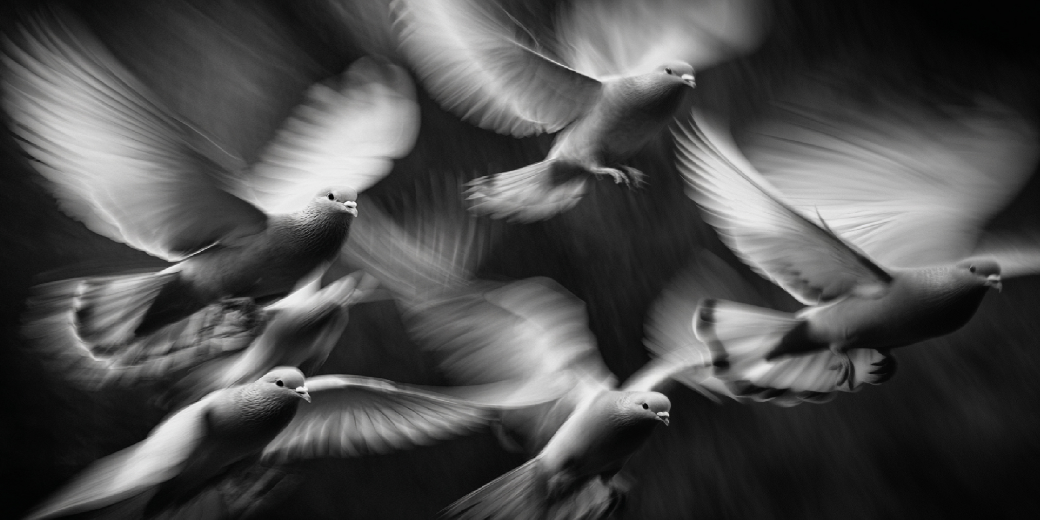 Black & White Photography