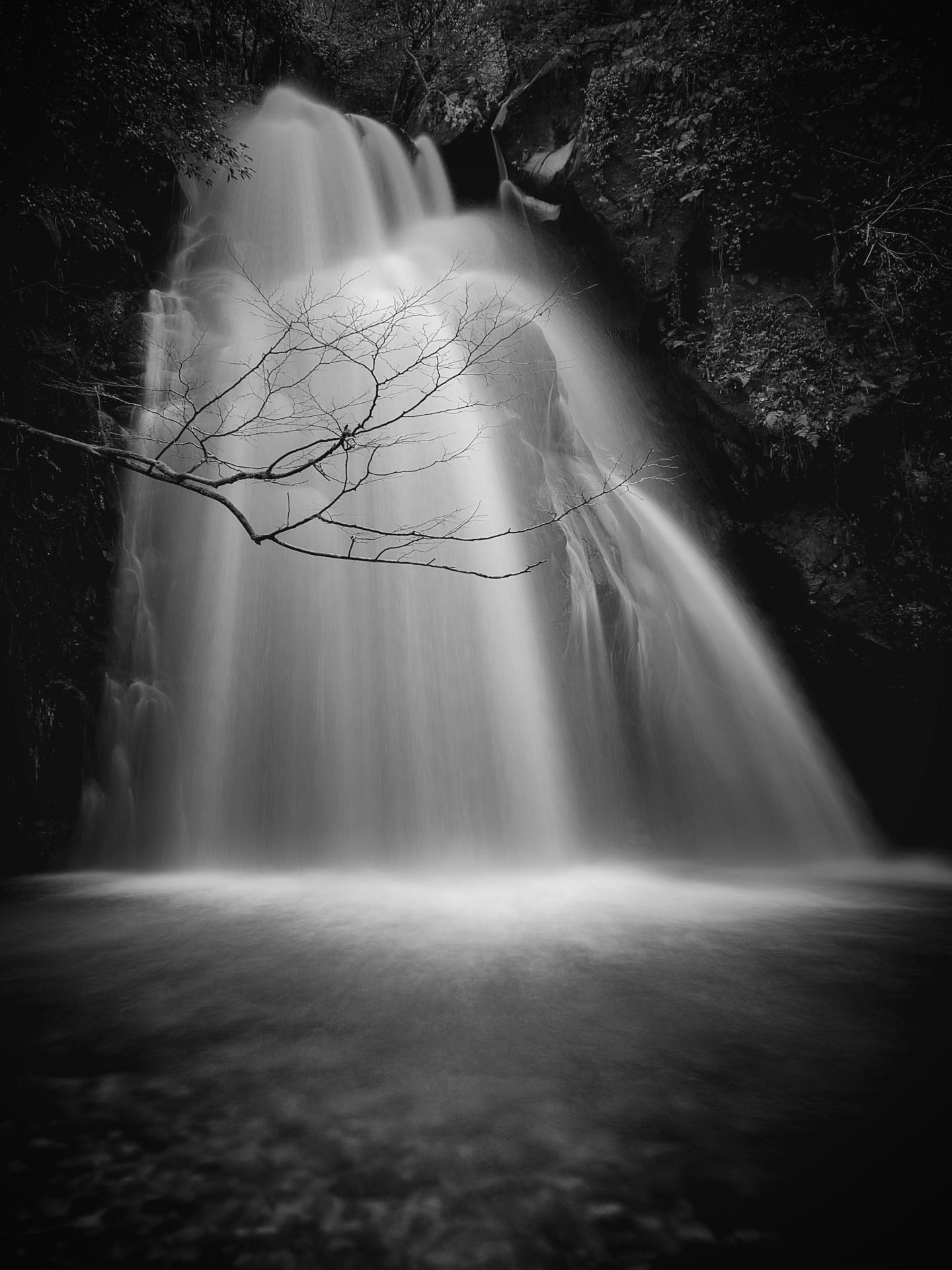 New York Photography Awards Winner - Holy Stream