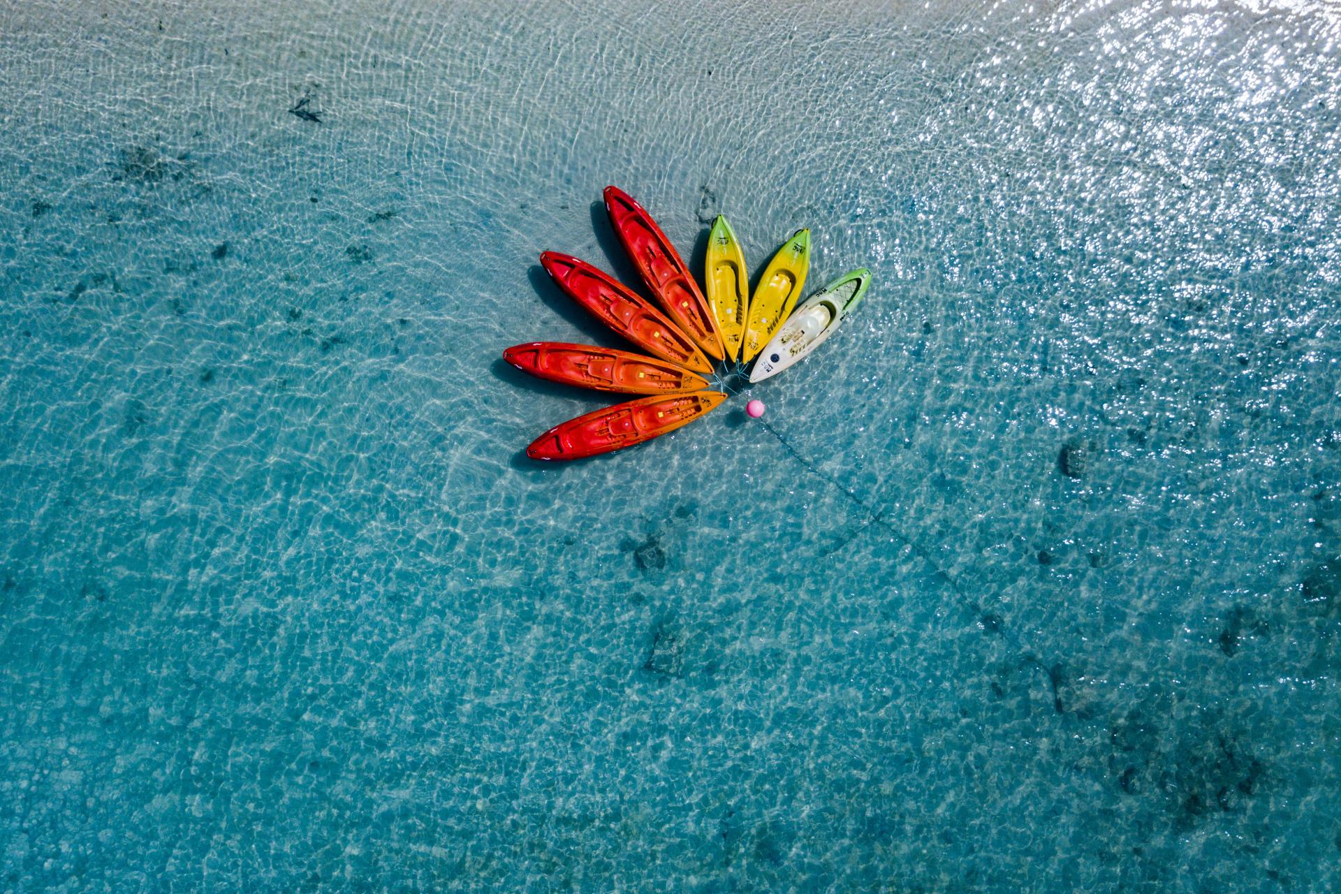 New York Photography Awards Winner - The Flower