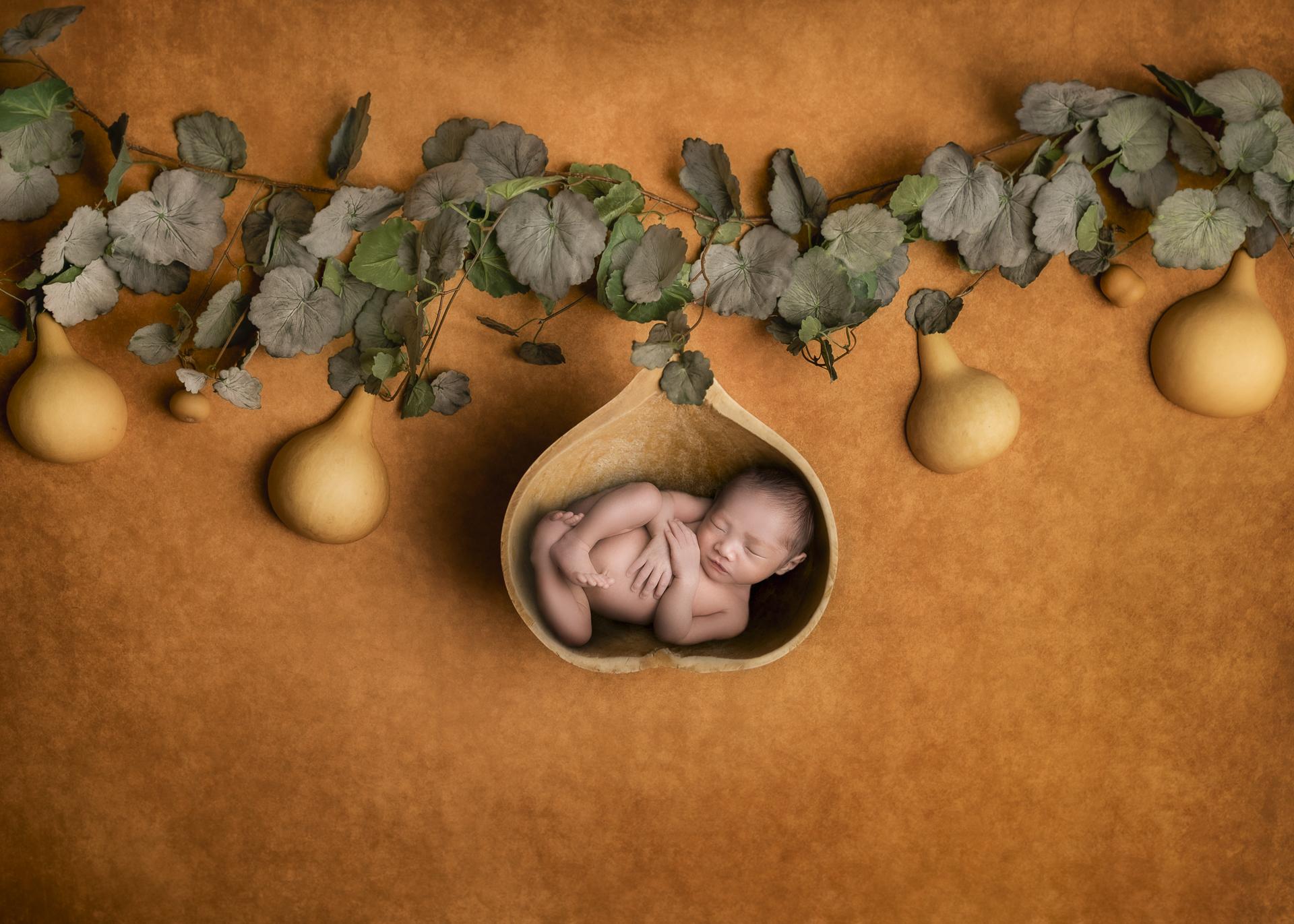 New York Photography Awards Winner - The fruit of love.