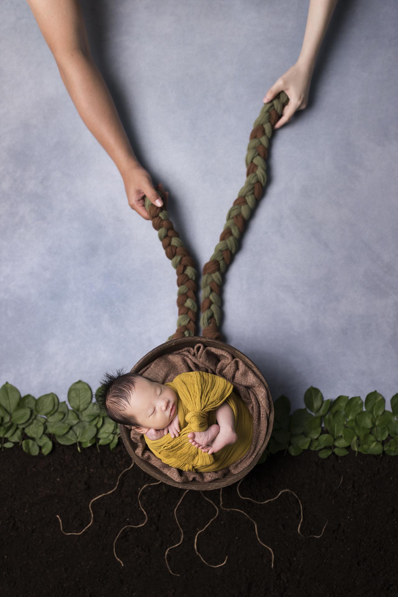 New York Photography Awards Winner - The Seed of Love.