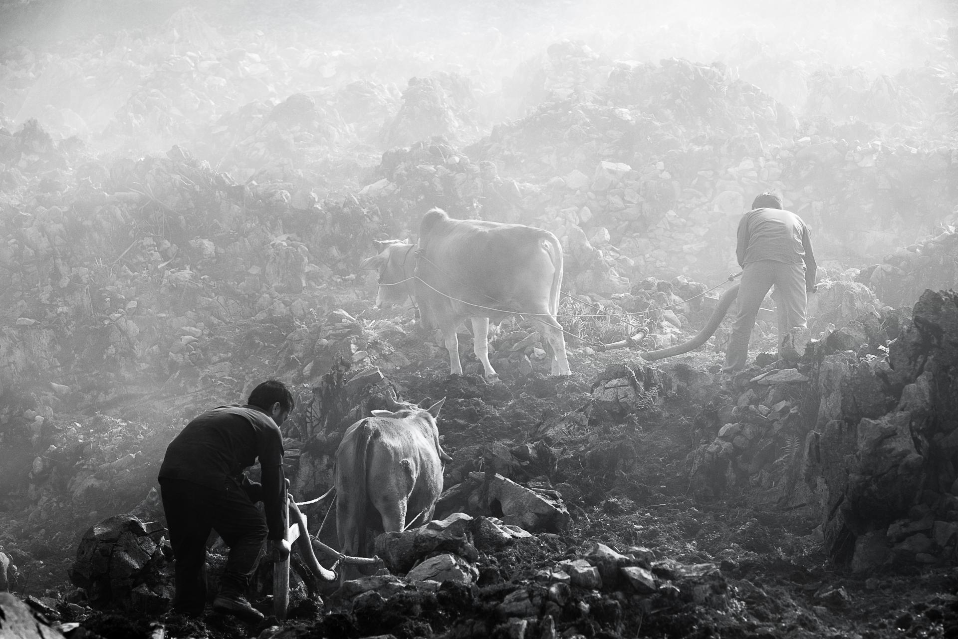 New York Photography Awards Winner - Plowing on the karst plateau