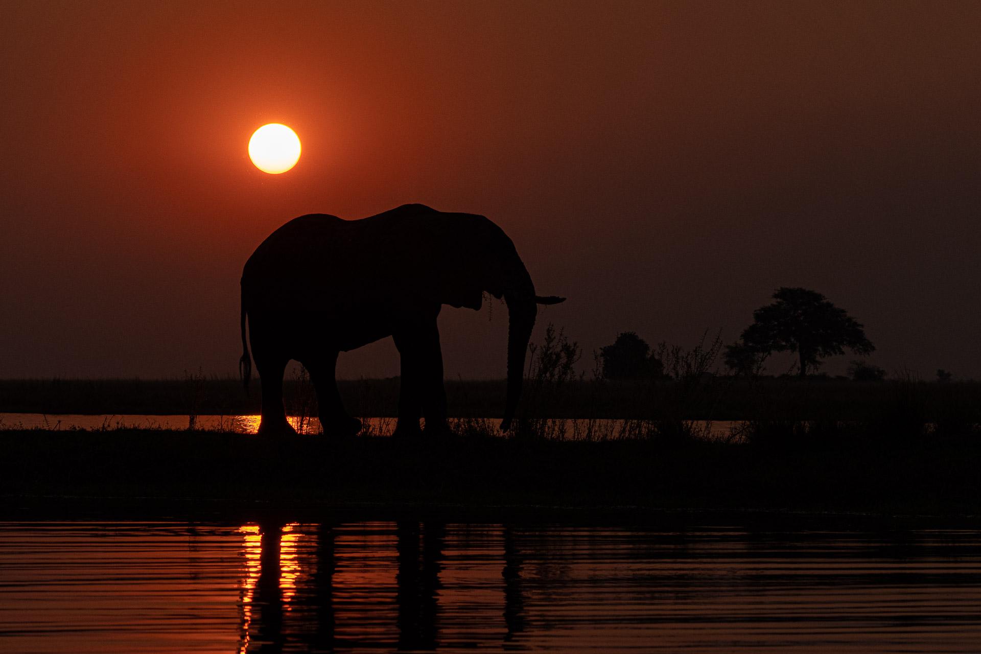 New York Photography Awards Winner - Iconic Botswana sunset