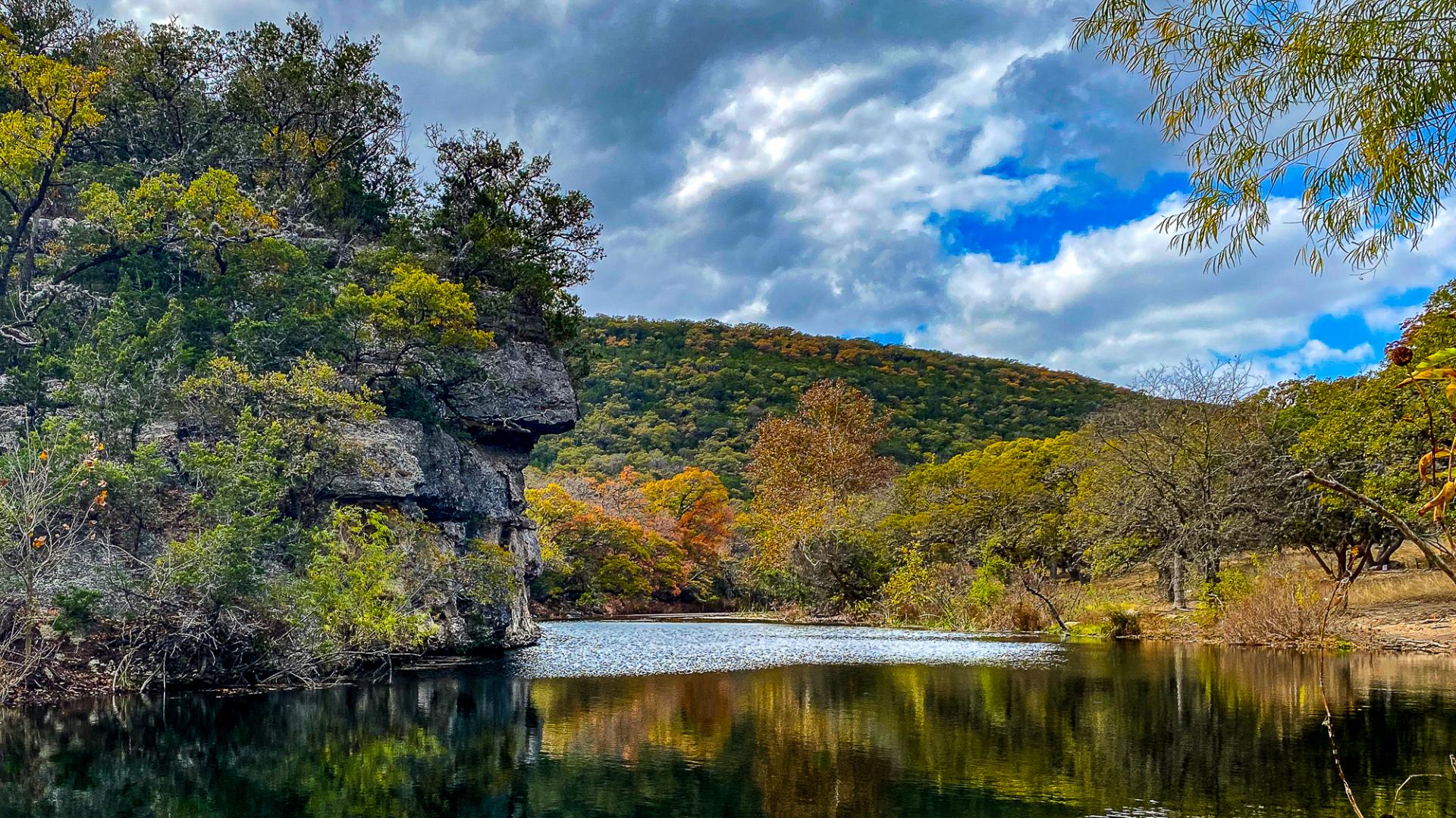 New York Photography Awards Winner - Unbe-leaf-able