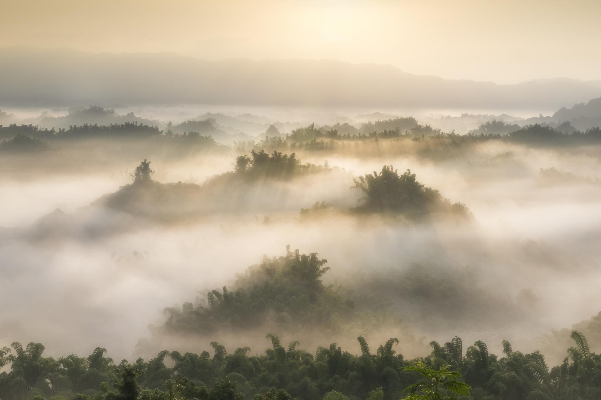 New York Photography Awards Winner - Morning light