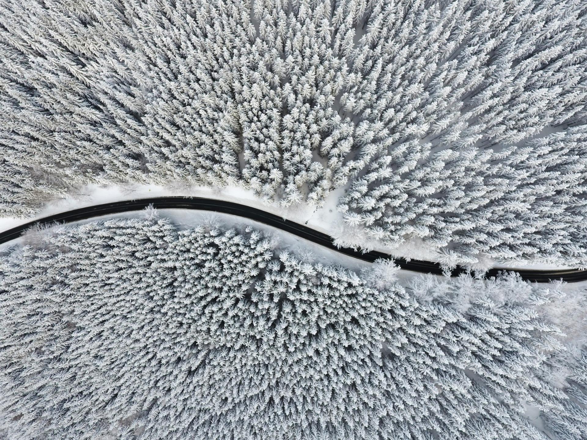 New York Photography Awards Winner - A Cold Road