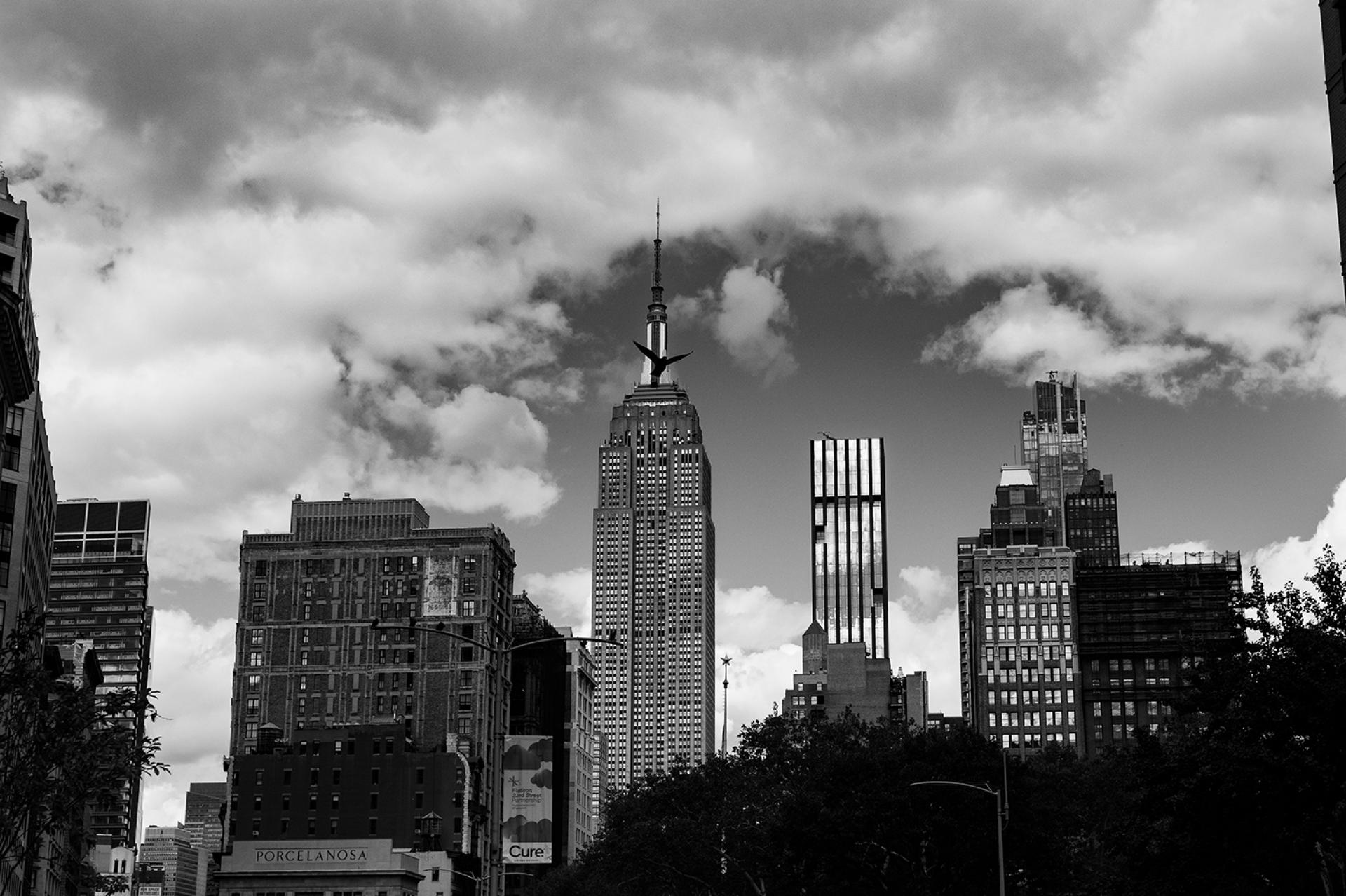 New York Photography Awards Winner - Feather Sky