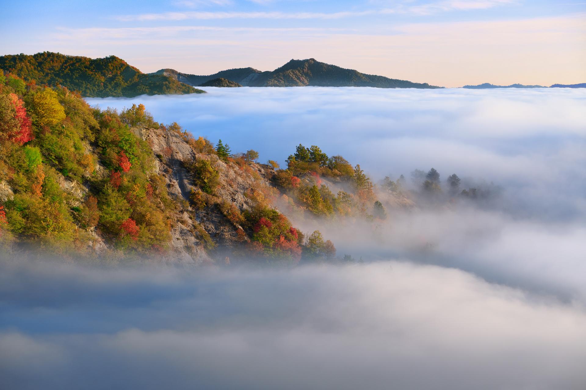 New York Photography Awards Winner - Fall Foliage in Foreste Casentinesi National Park