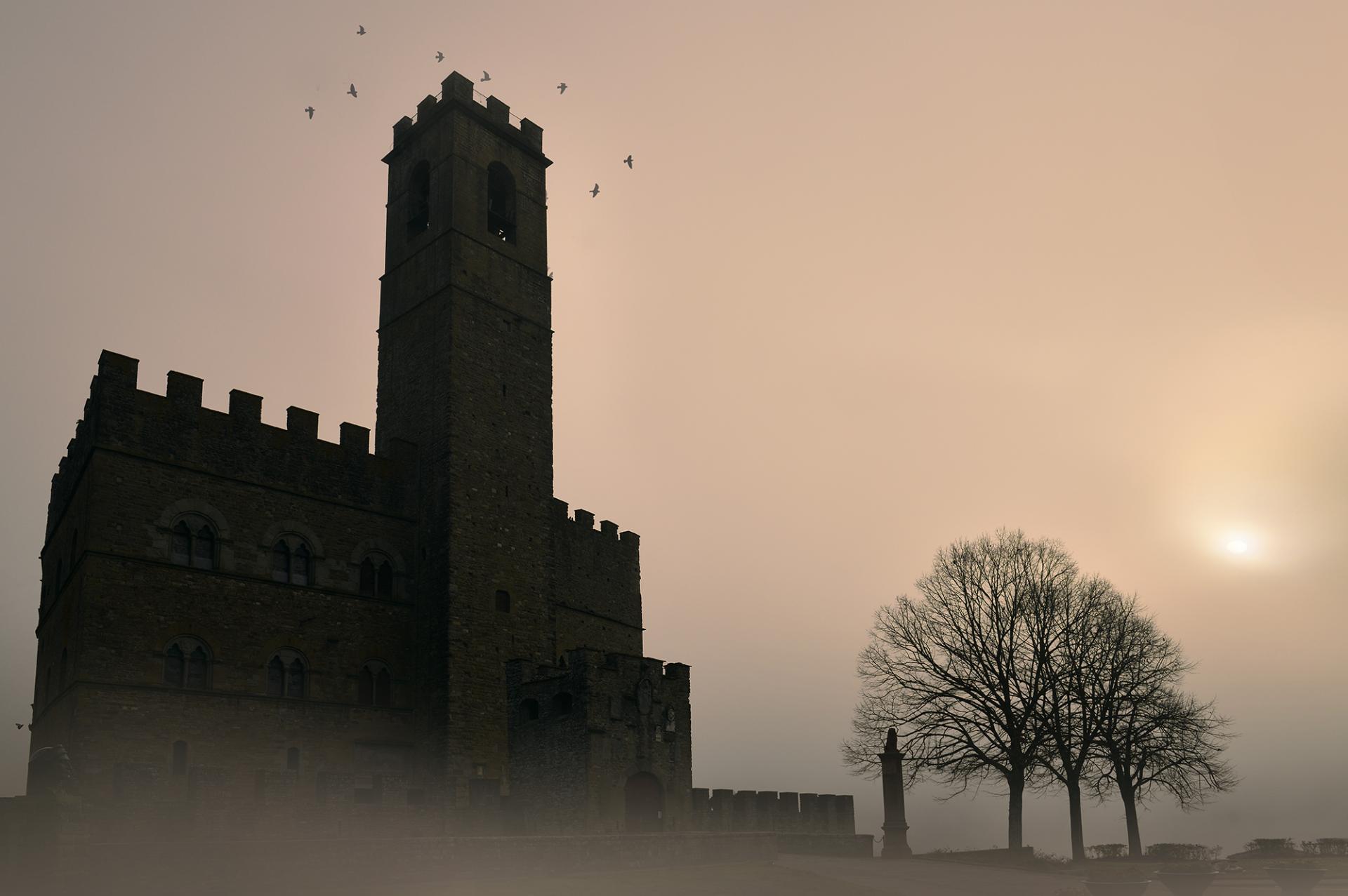 New York Photography Awards Winner - Castle in the Mist