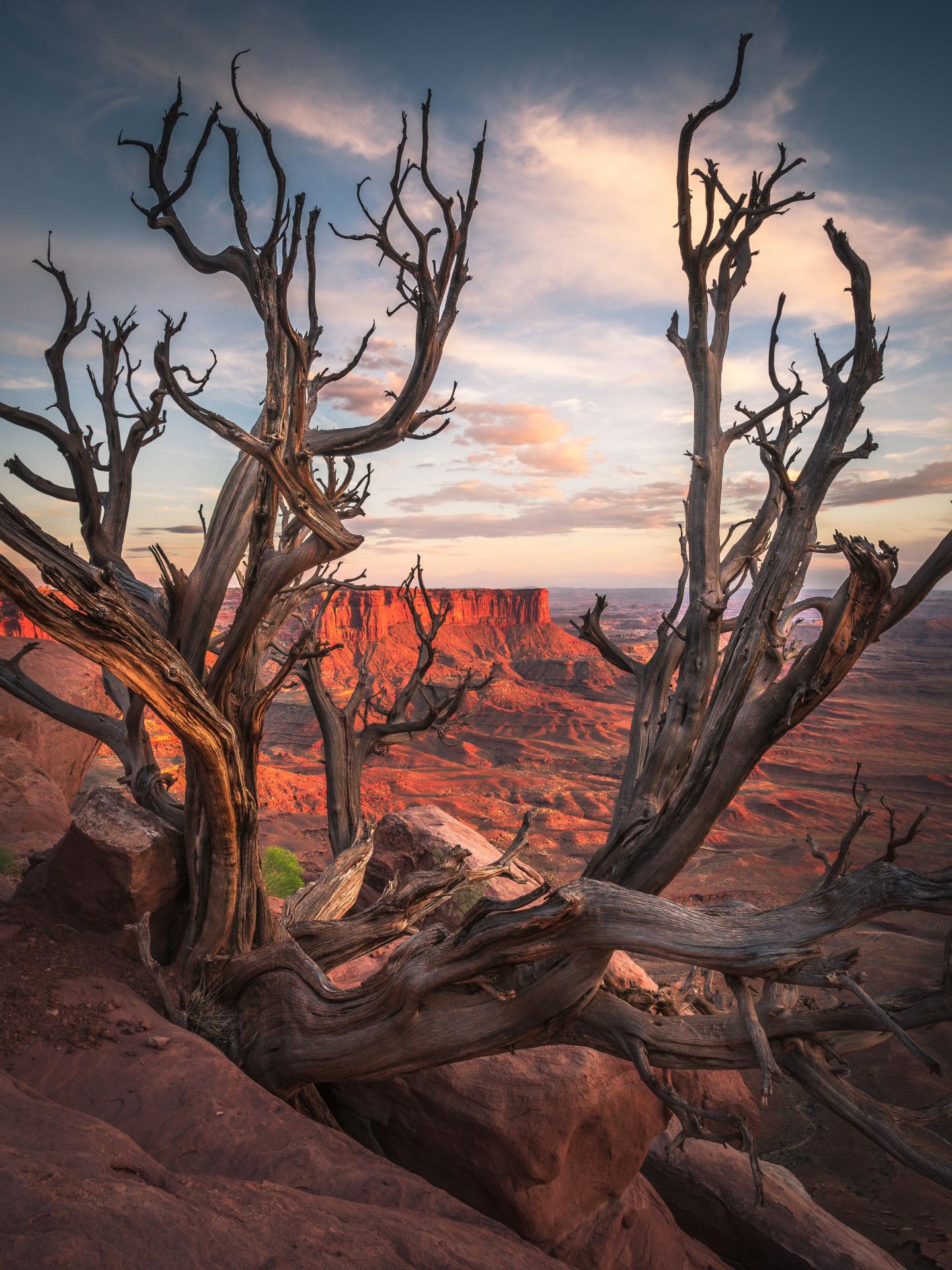 New York Photography Awards Winner - Canyon Sunset