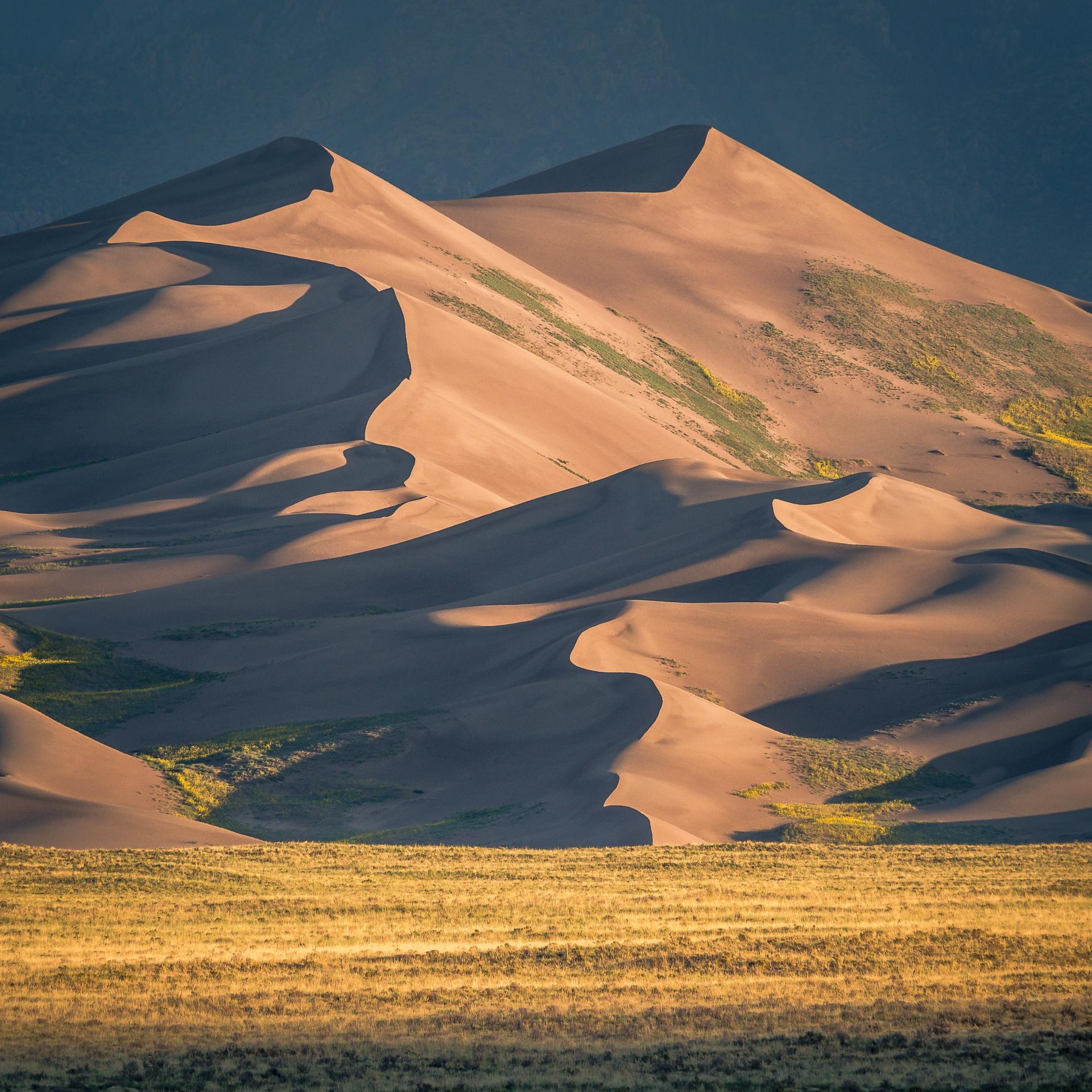 New York Photography Awards Winner - Sand Dune