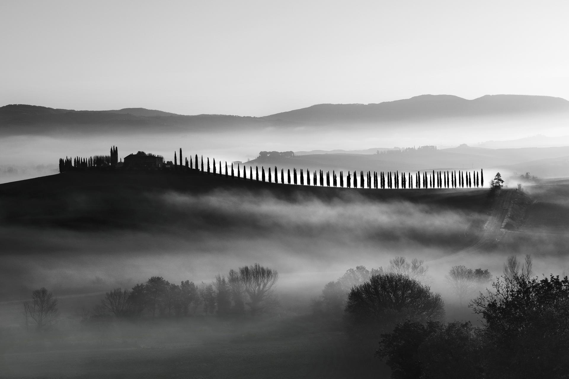 New York Photography Awards Winner - Tuscan Cypresses in the mist of dawn
