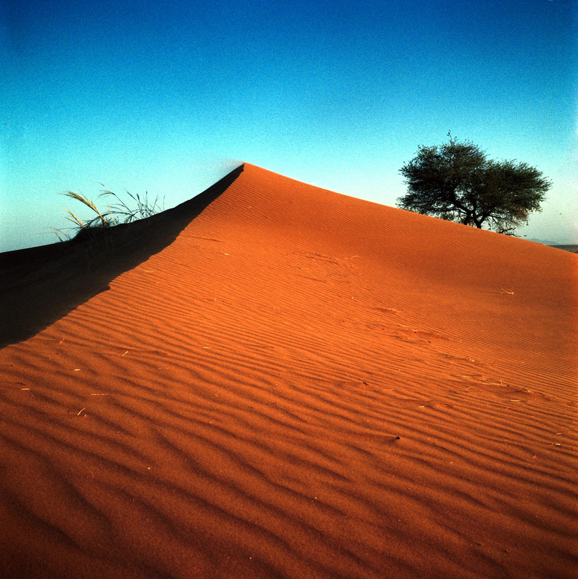 New York Photography Awards Winner - Deserts of Namibia