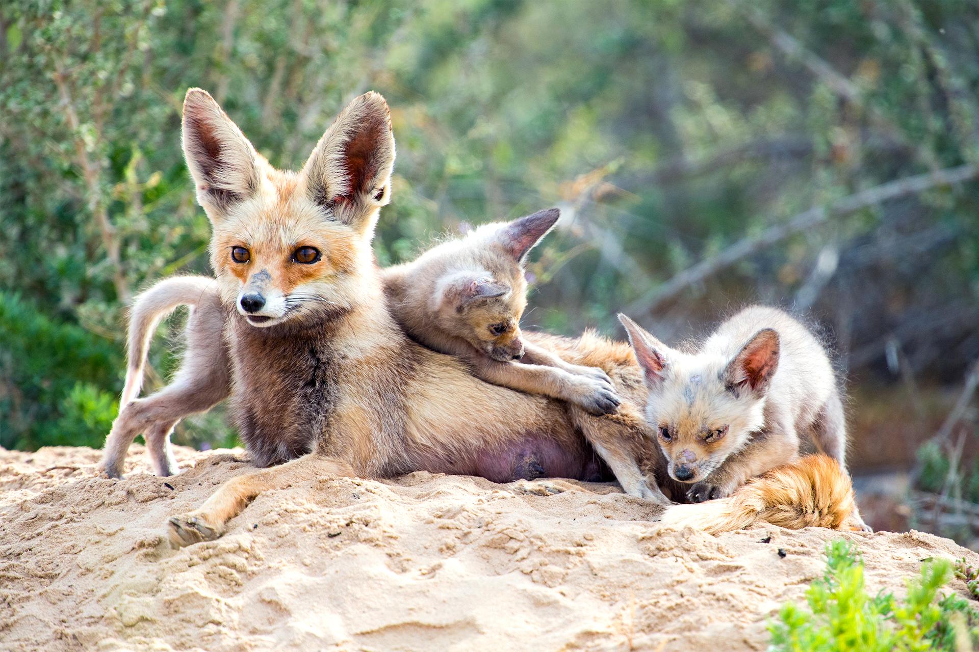 New York Photography Awards Winner - Family Portrait