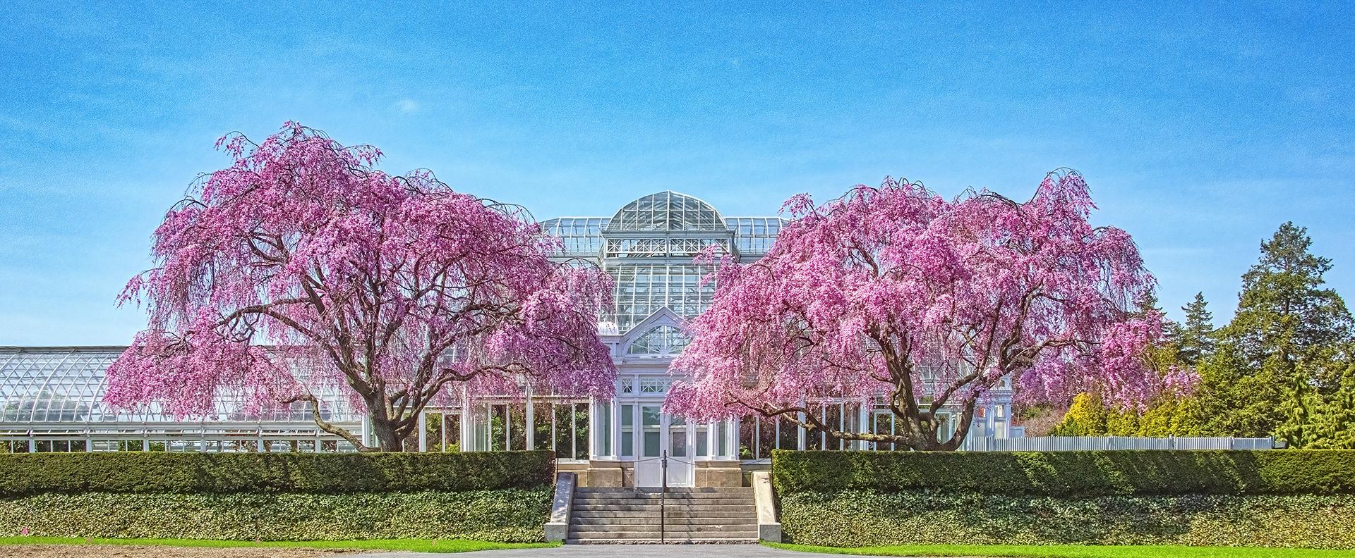New York Photography Awards Winner - Conservatory on a Bright Spring Day