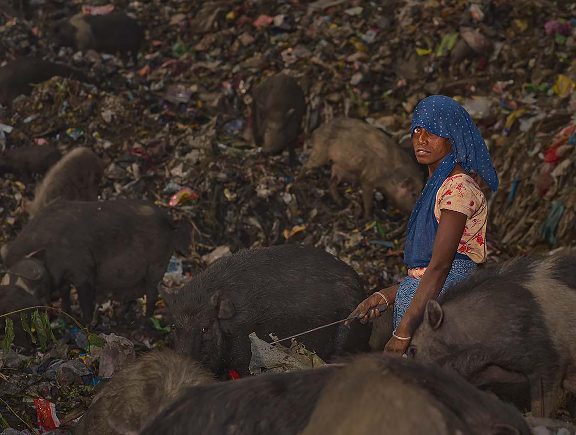 New York Photography Awards Winner - 