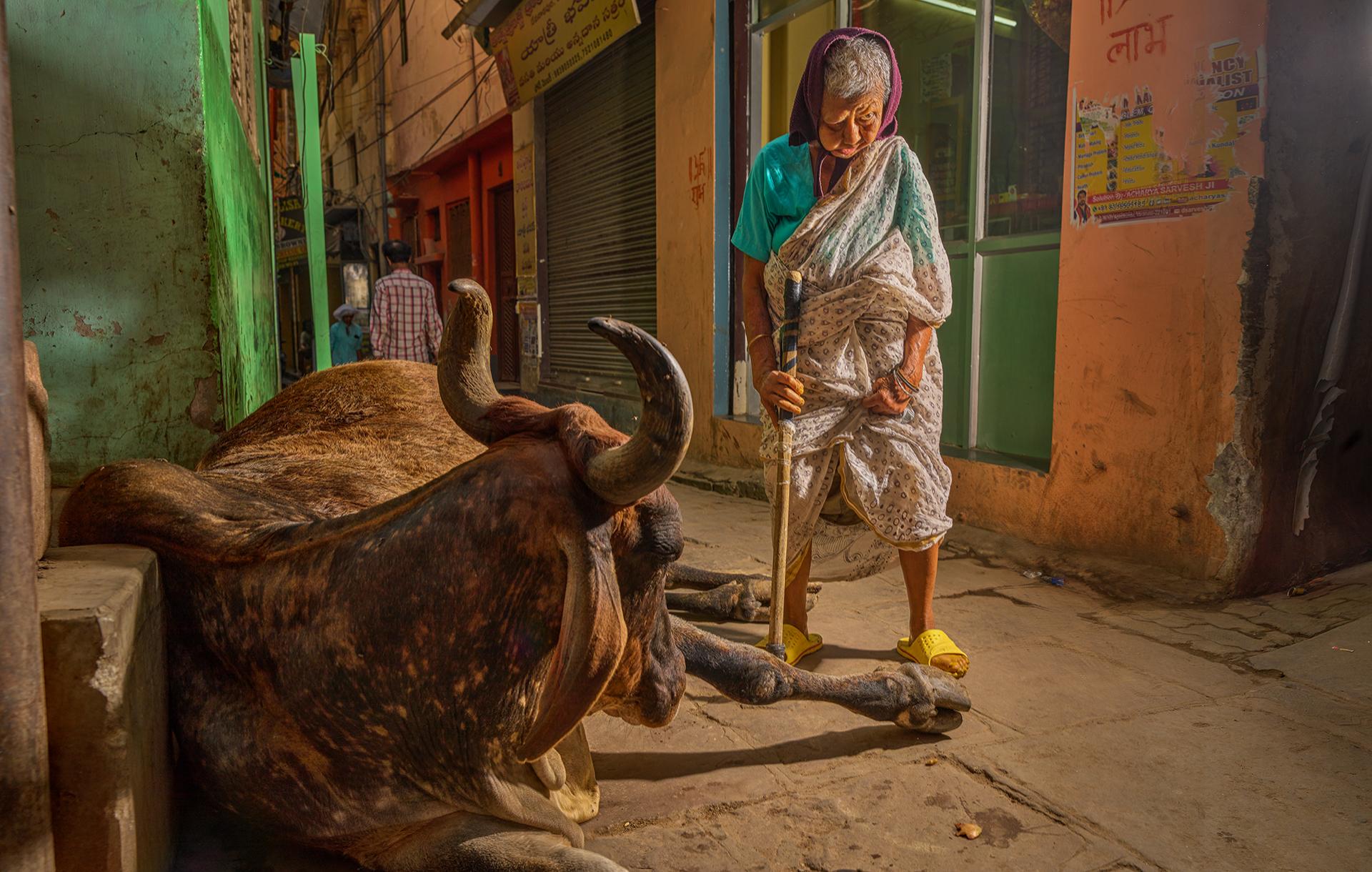 New York Photography Awards Winner - Handicapped Woman 