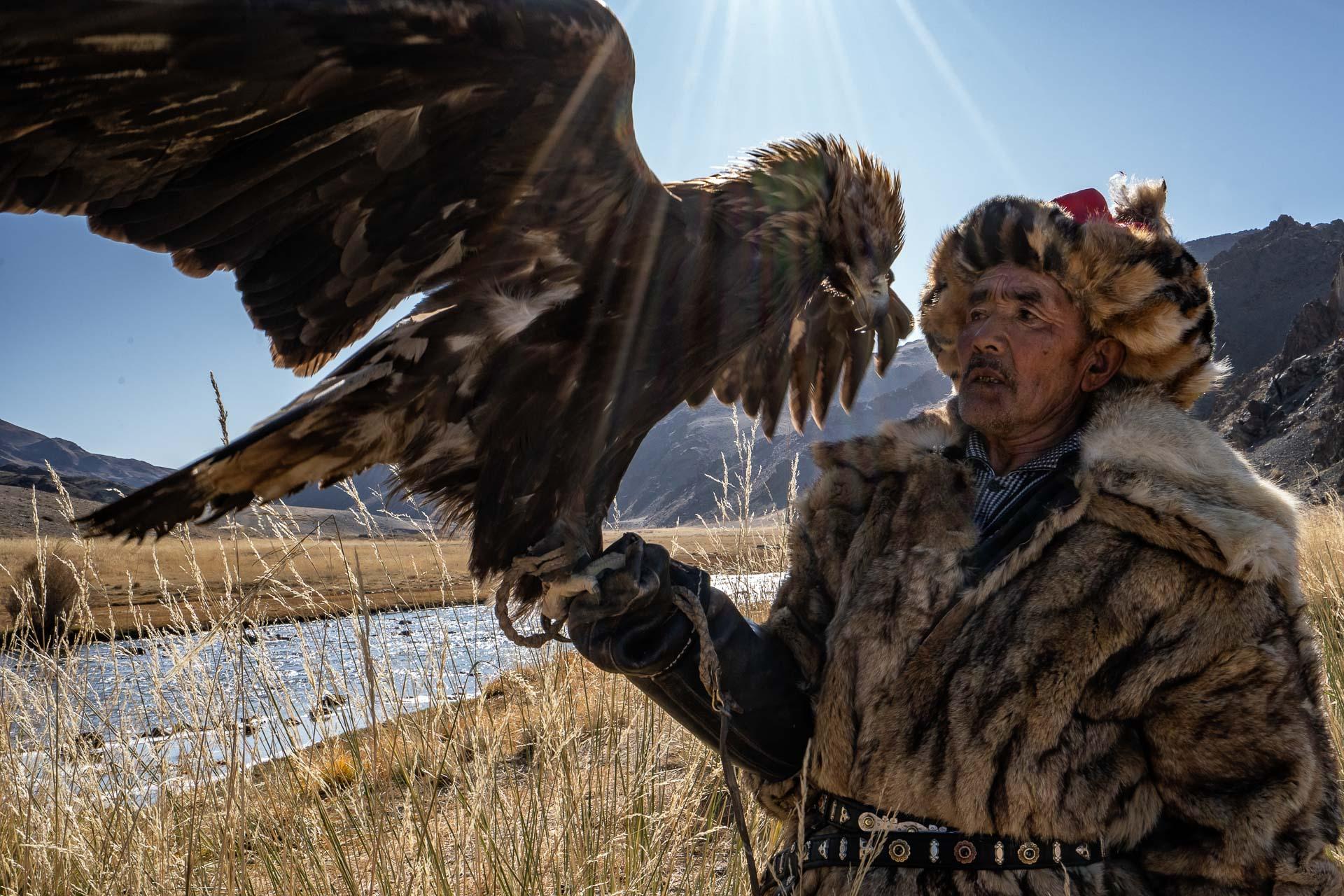 New York Photography Awards Winner - The Golden Eagle