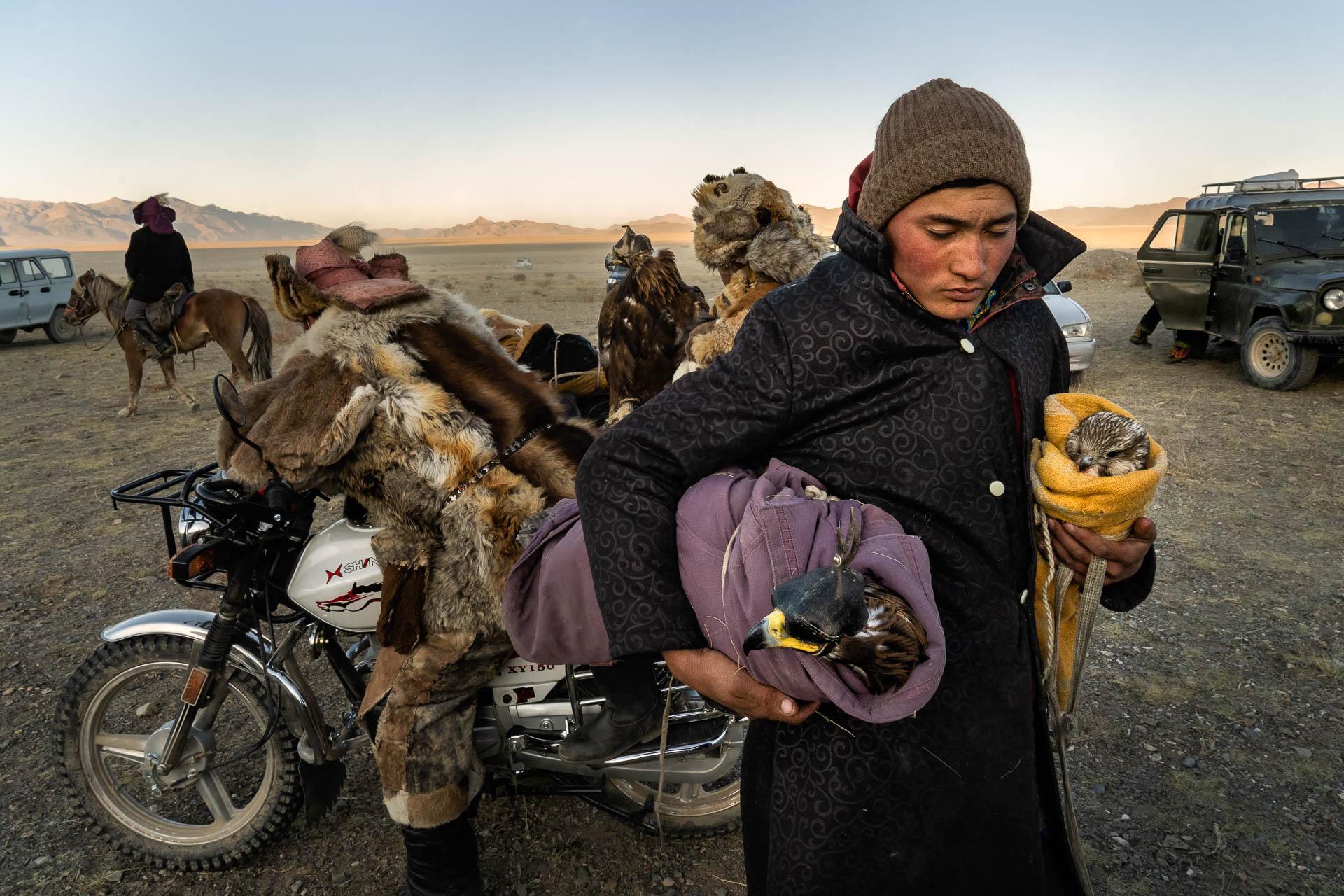 New York Photography Awards Winner - The Golden Eagle