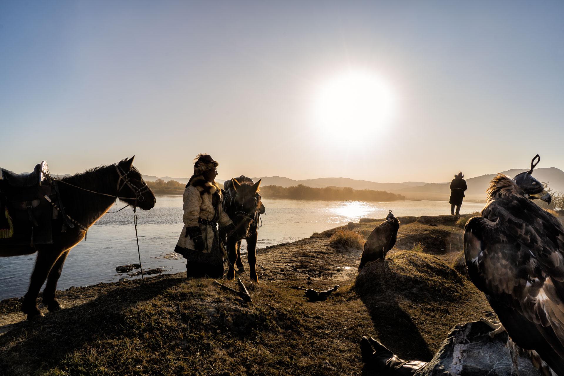 New York Photography Awards Winner - The Golden Eagle