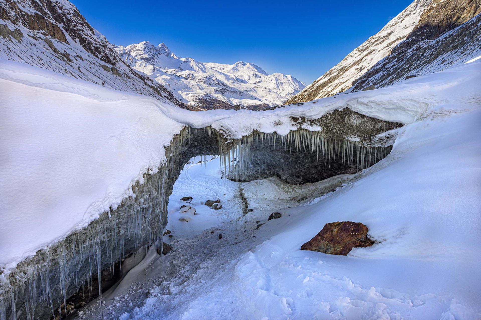 New York Photography Awards Winner - The last Winter