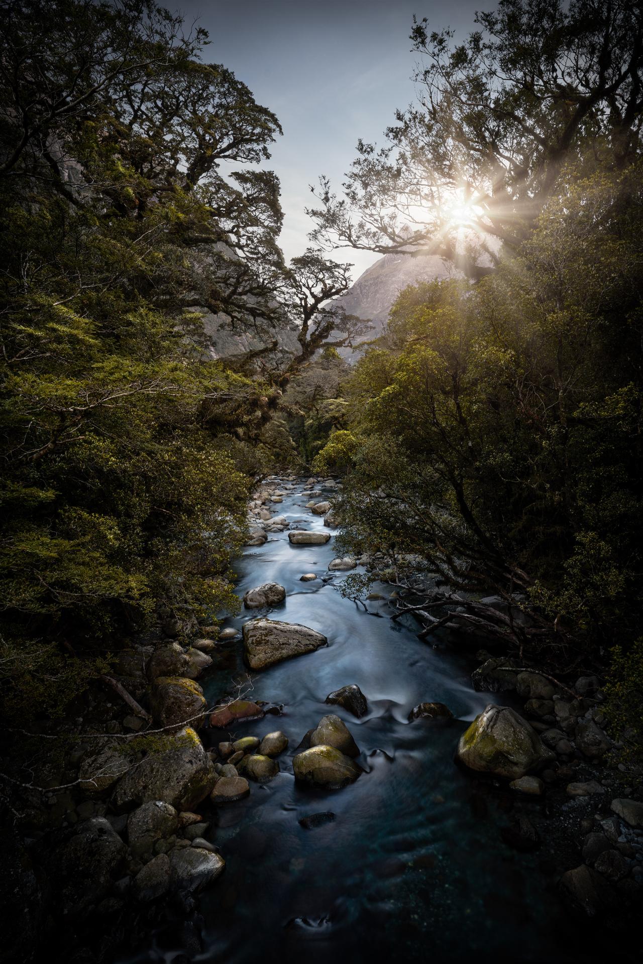 New York Photography Awards Winner - Cleddau River