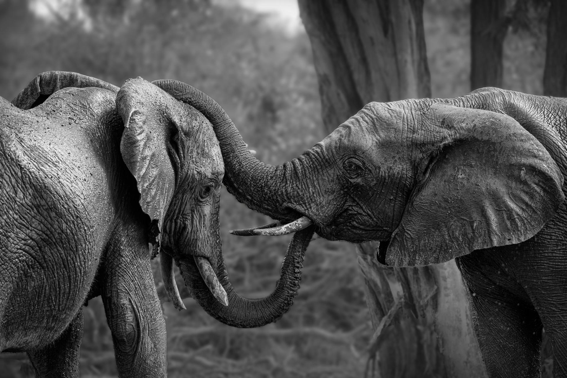 New York Photography Awards Winner - Sharing is caring ...