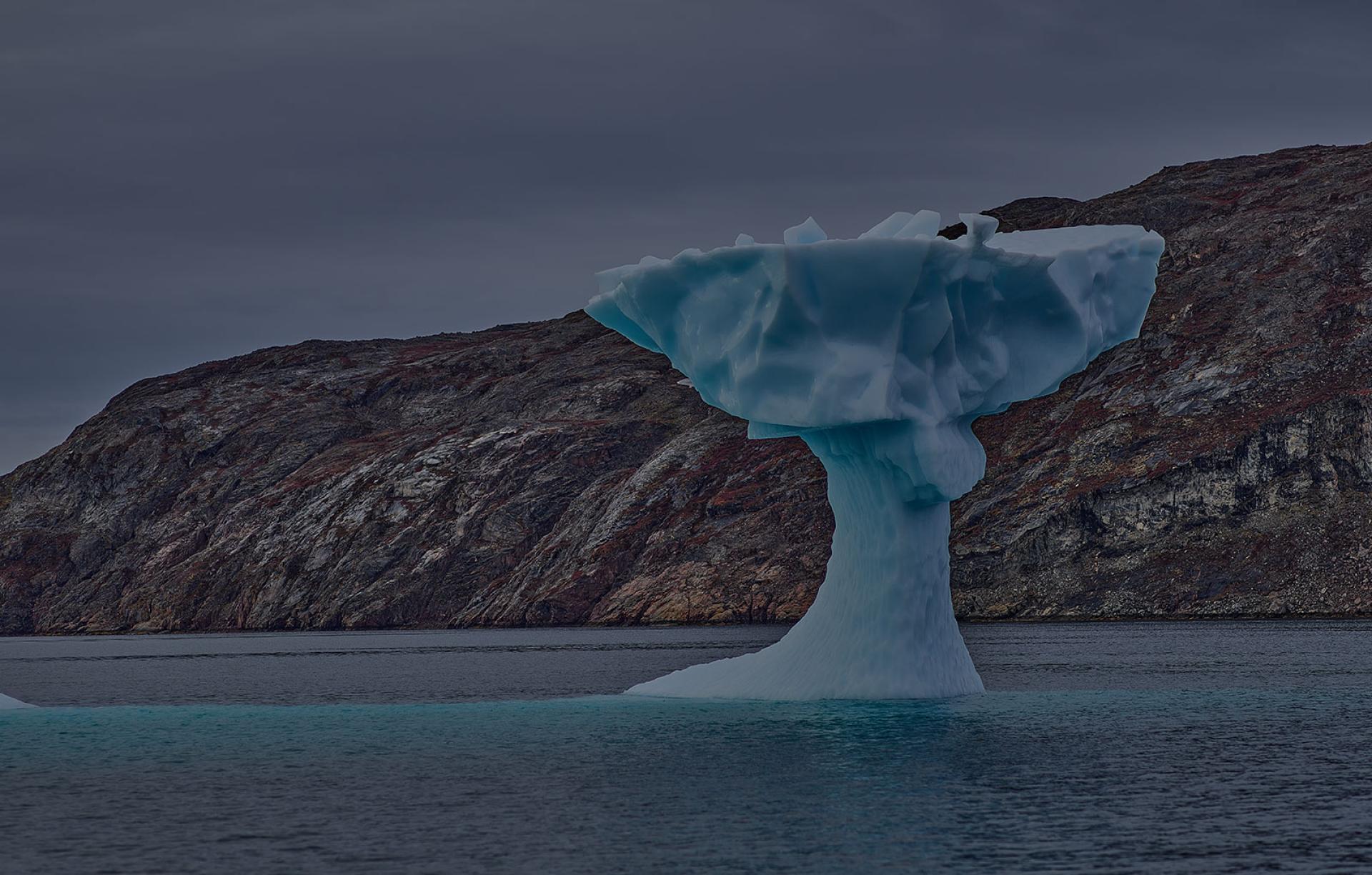 New York Photography Awards Winner - Wonderful Nature