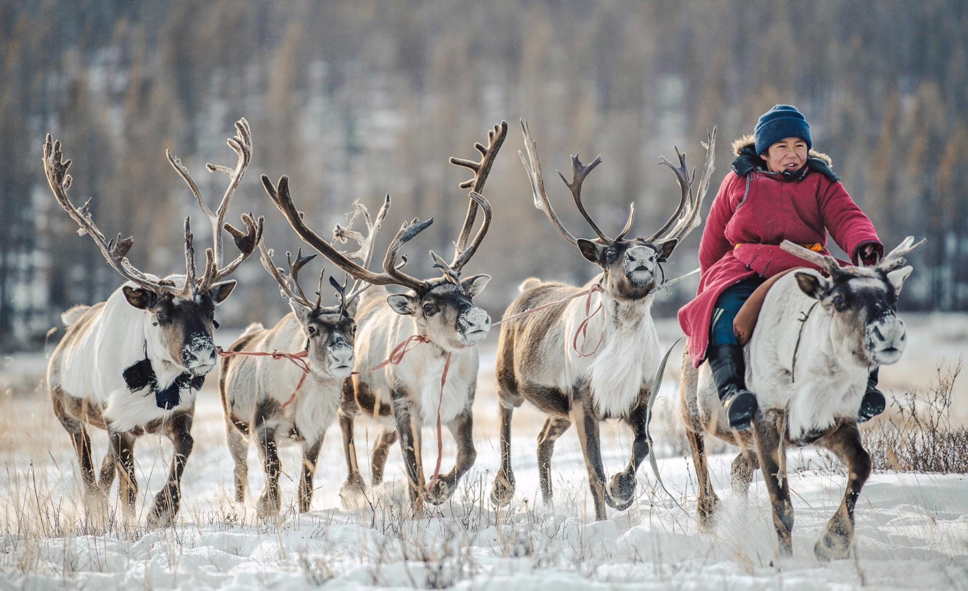 New York Photography Awards Winner - Tsaatan: The Last Reindeer People
