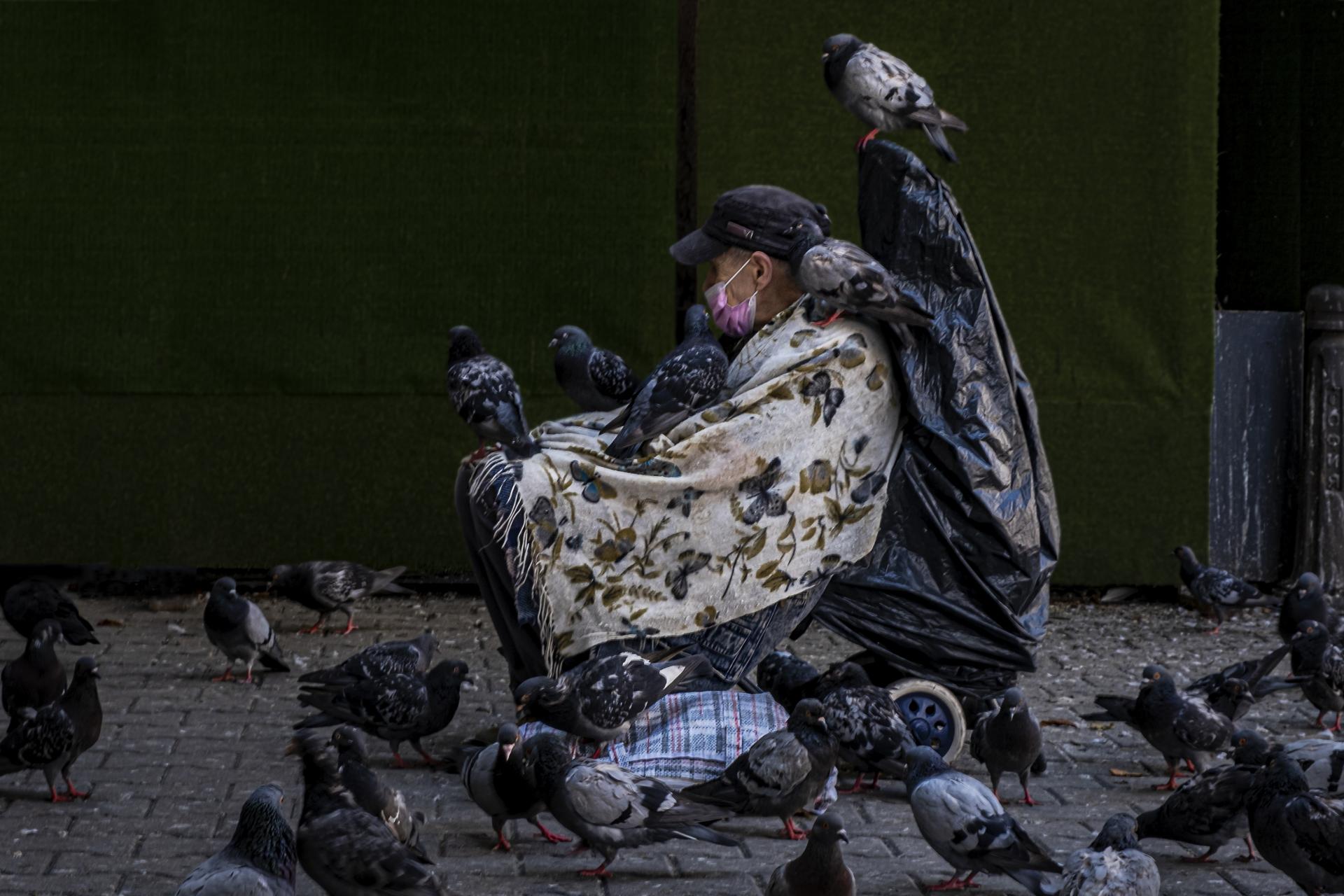 New York Photography Awards Winner - Queen of pigeons