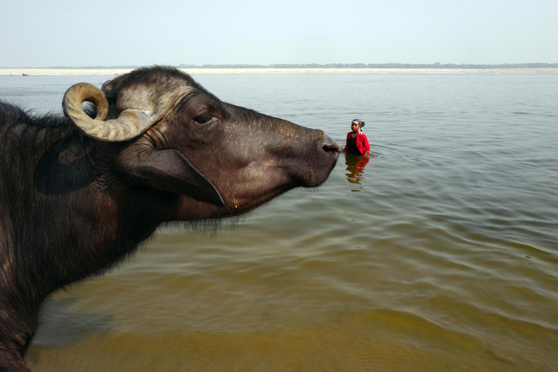 New York Photography Awards Winner - Soul of the Ganges