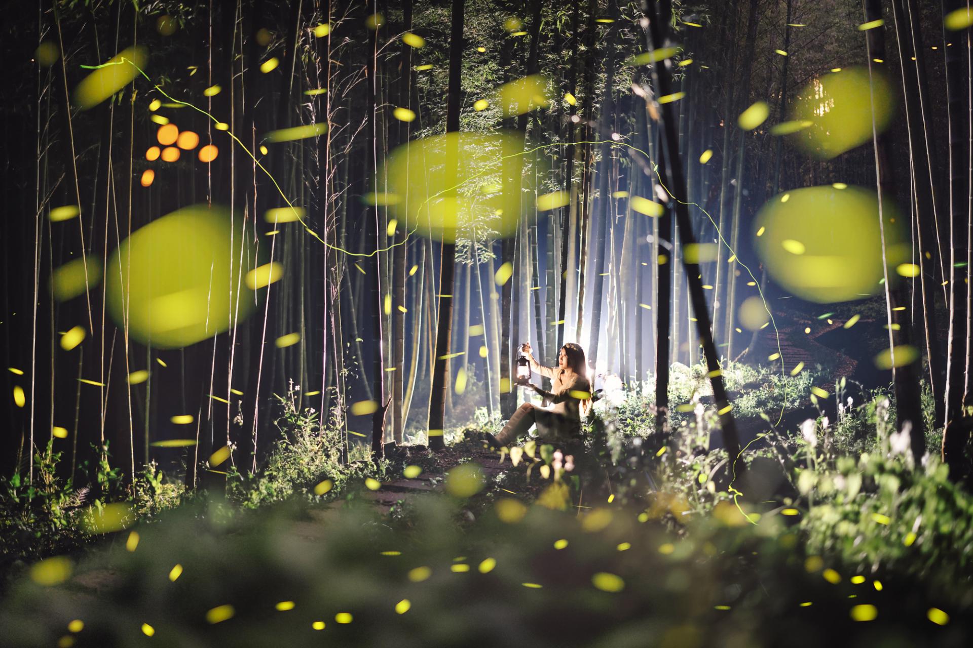 New York Photography Awards Winner - Luminous Elf