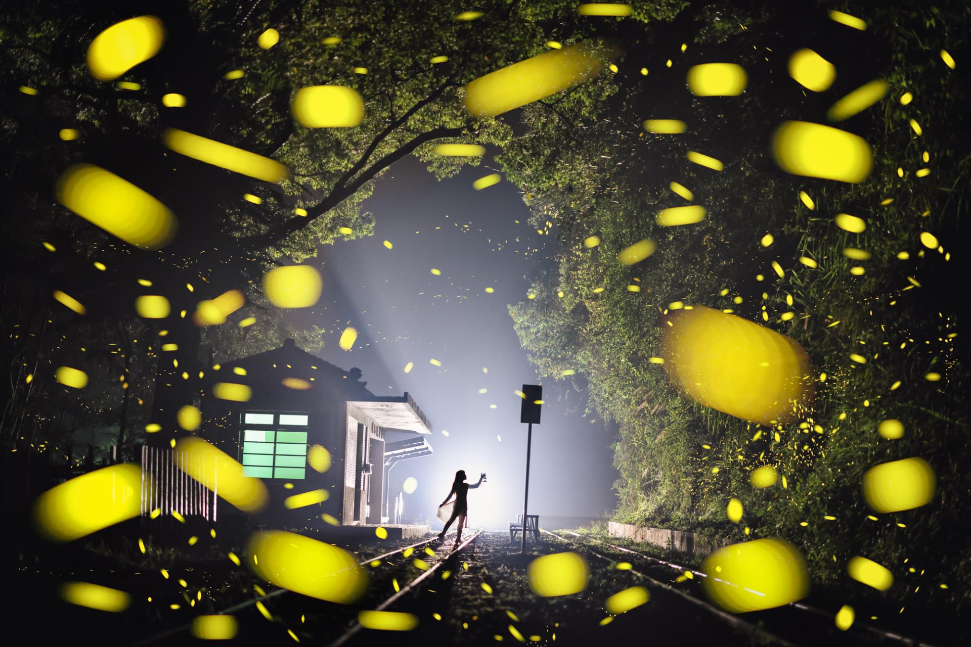 New York Photography Awards Winner - Travel with Fireflies