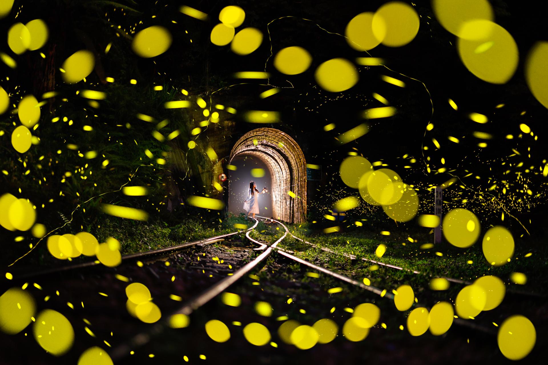 New York Photography Awards Winner - Travel with Fireflies