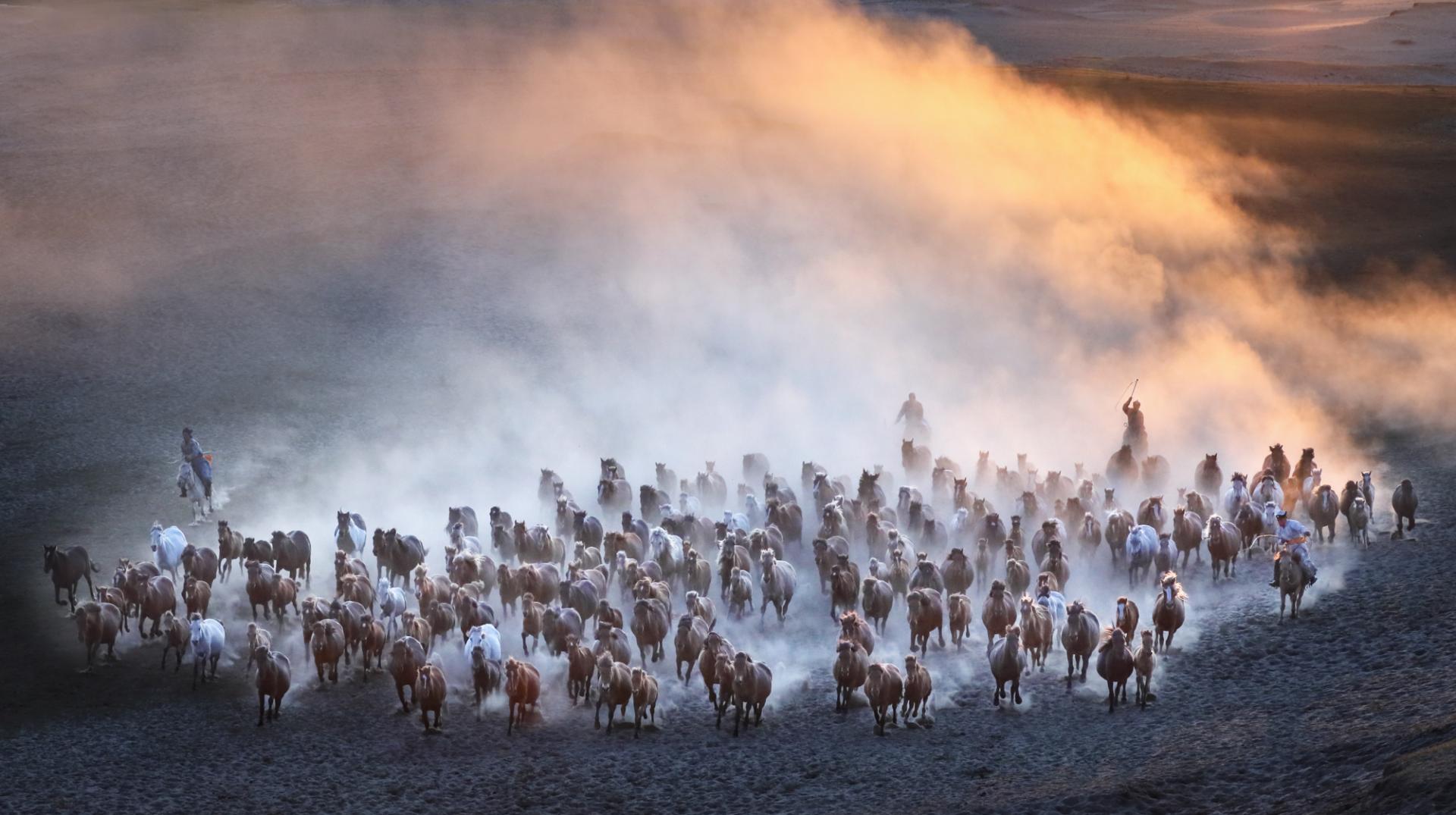 New York Photography Awards Winner - Horse galloping at sunset