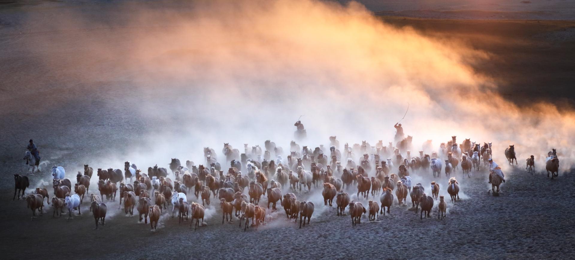 New York Photography Awards Winner - Horse galloping at sunset