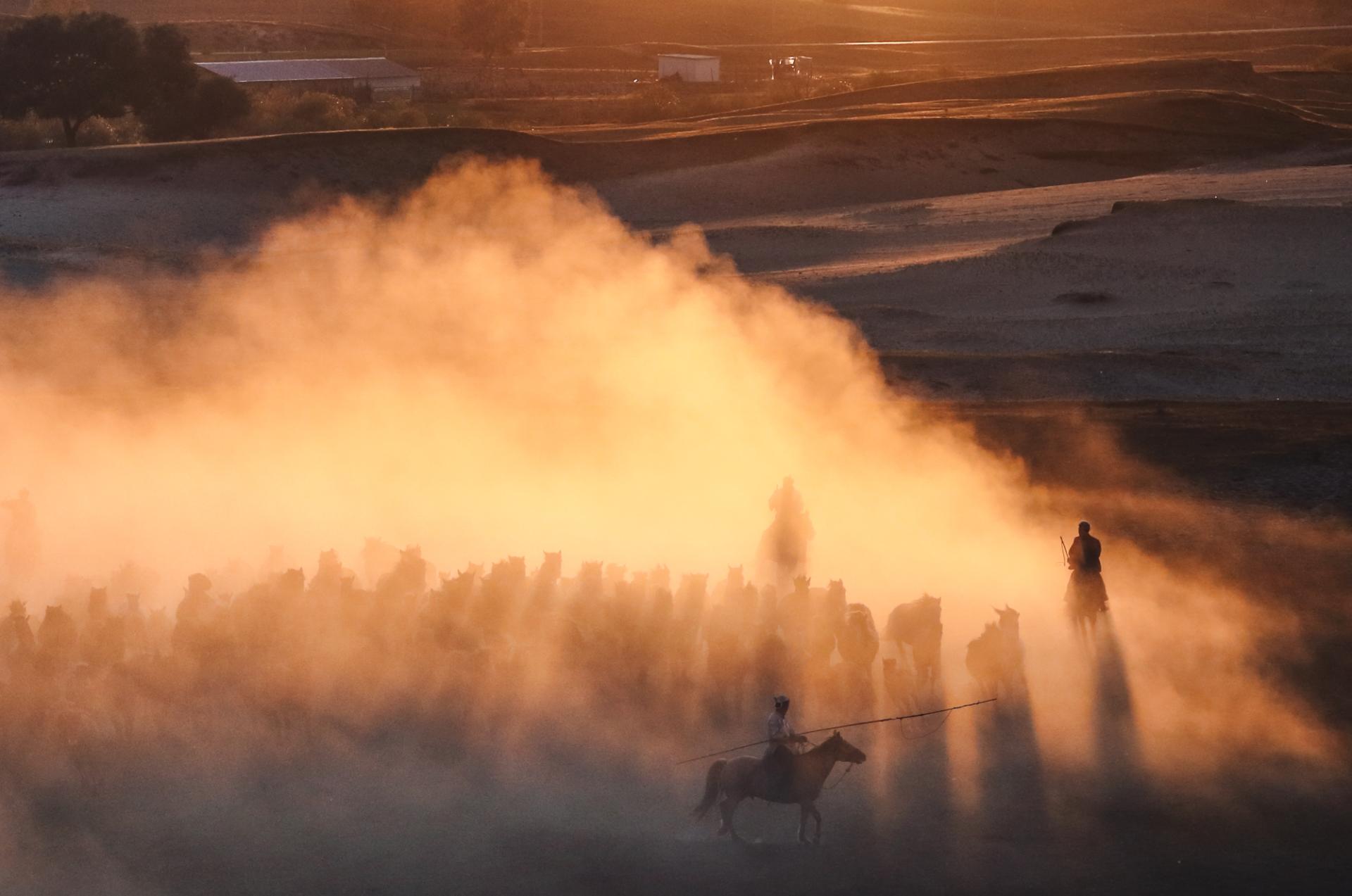 New York Photography Awards Winner - Horse galloping at sunset