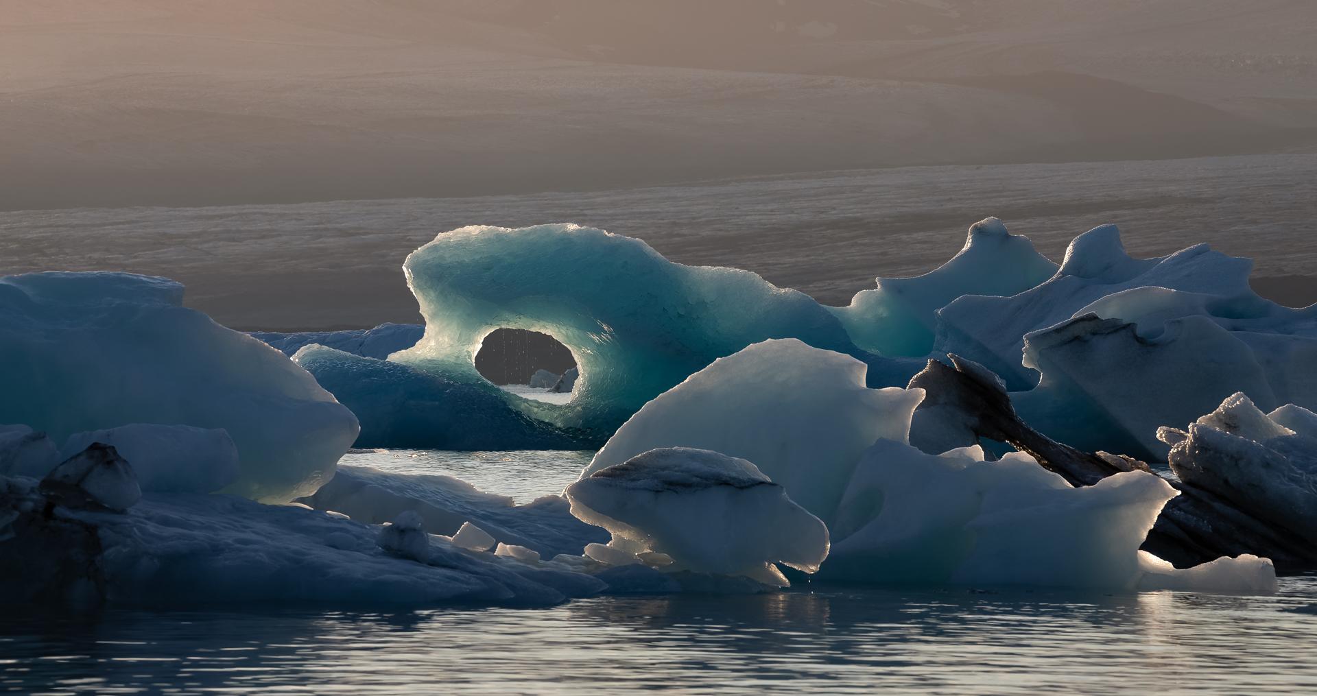 New York Photography Awards Winner - Ice Narwhal legend