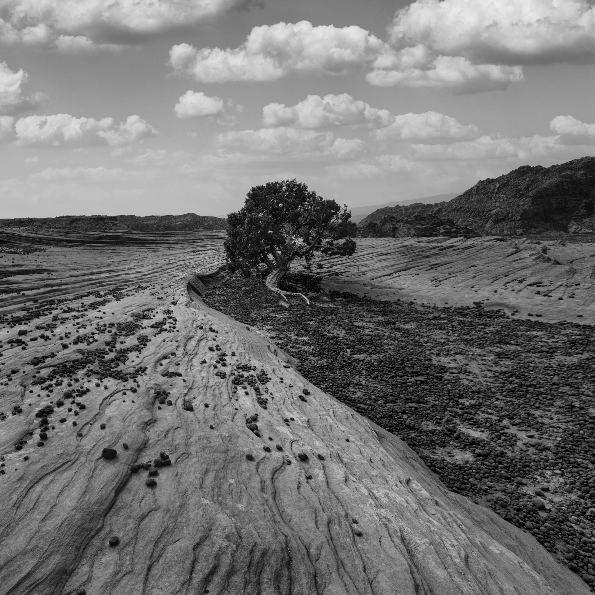 New York Photography Awards Winner - TSEKOOH