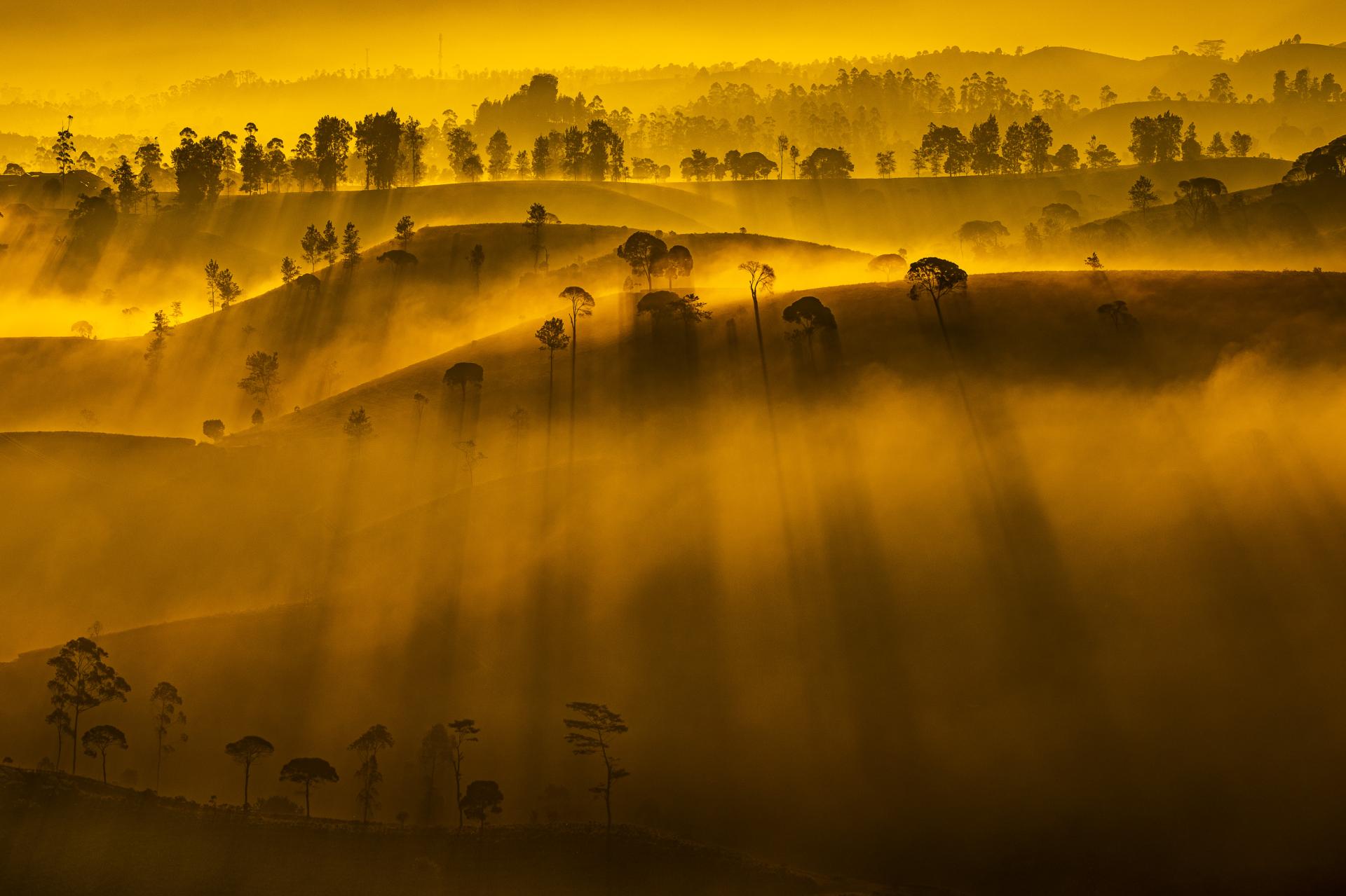 New York Photography Awards Winner - Morning at Cukul Pangalengan