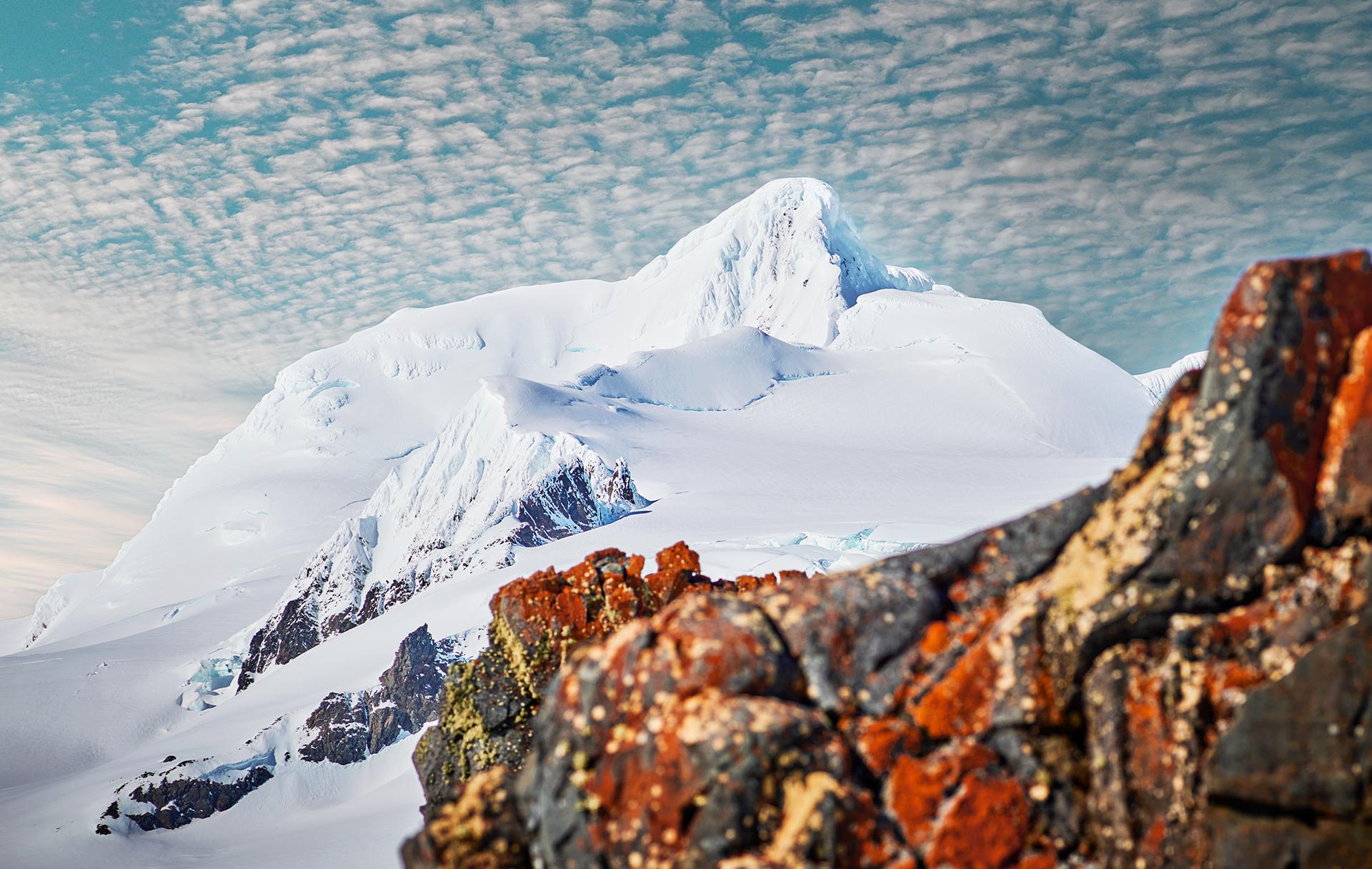 New York Photography Awards Winner - Summer in Antarctica 