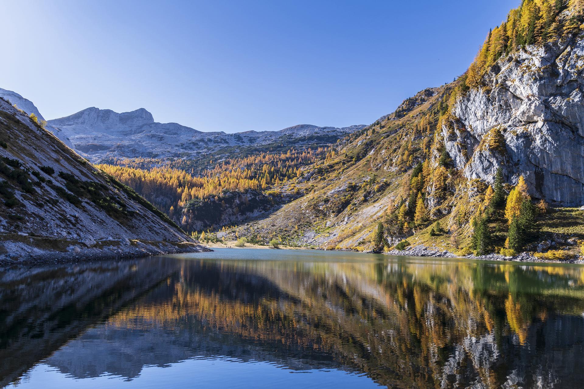 New York Photography Awards Winner - The Glory of The Fall