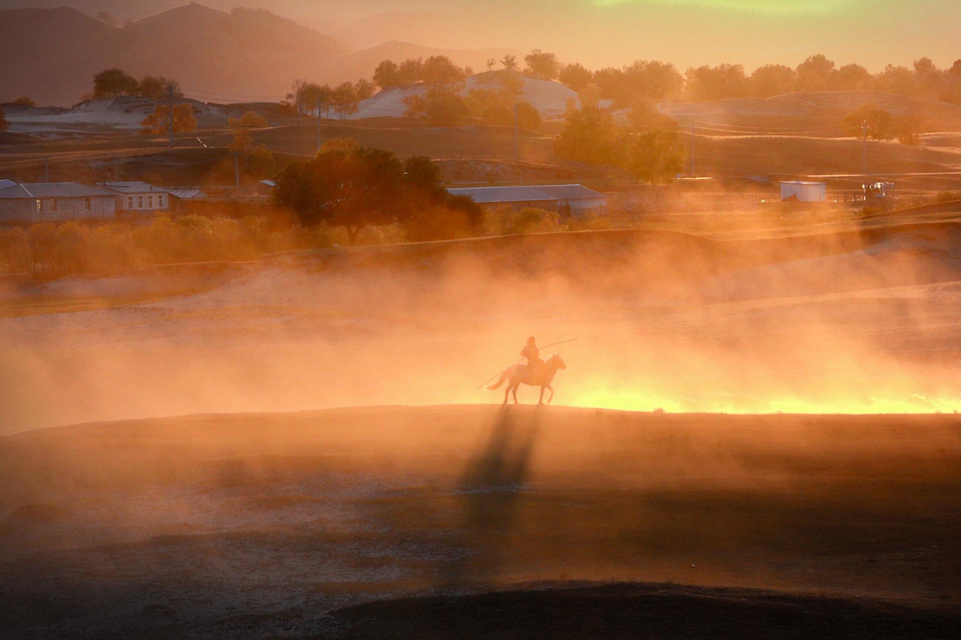 New York Photography Awards Winner - Horse galloping at sunset