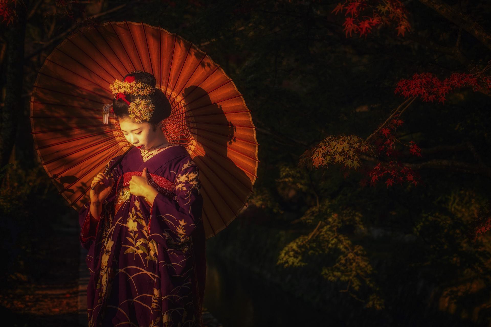 New York Photography Awards Winner - The Four Seasons of Autumn 秋の四季