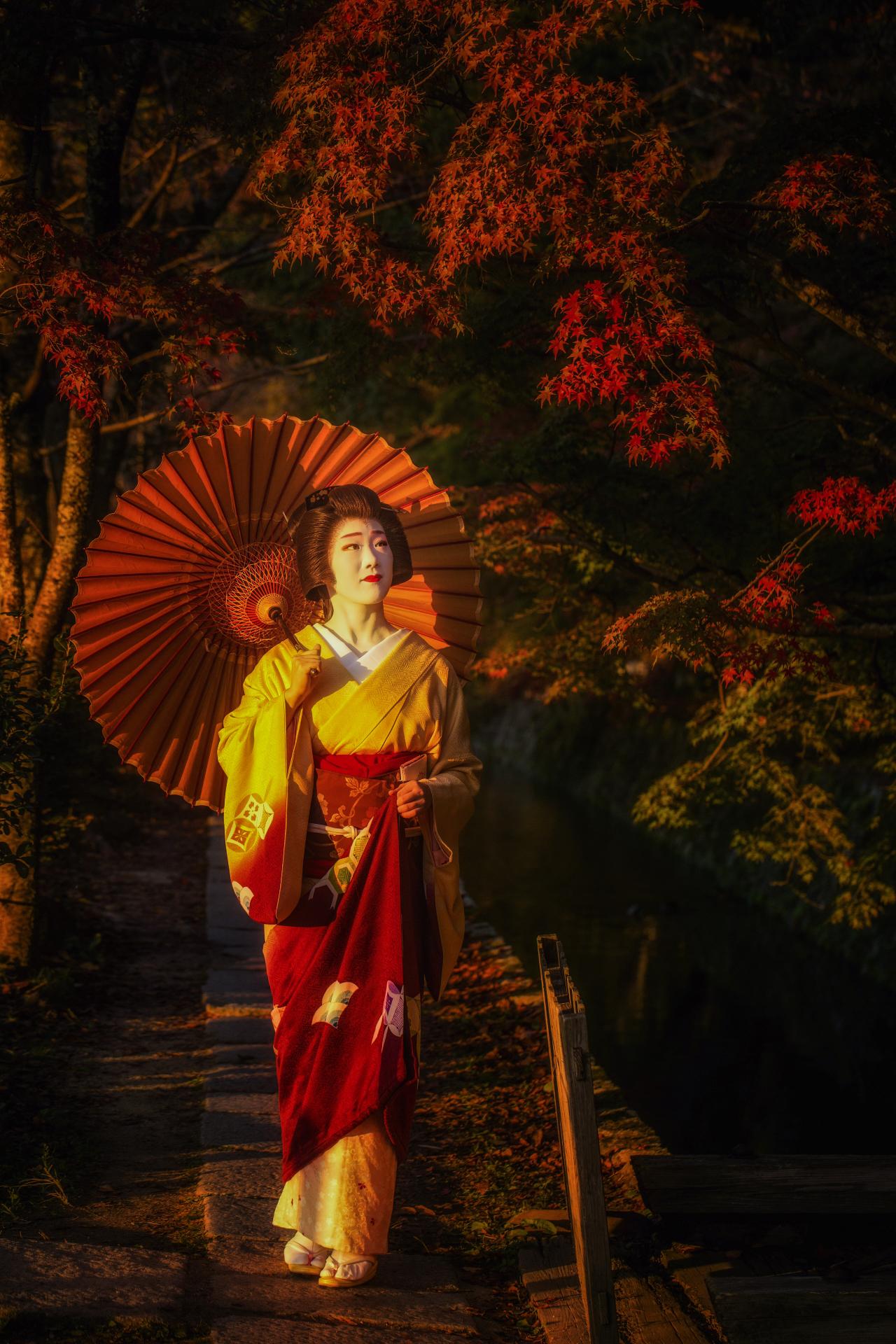 New York Photography Awards Winner - The Four Seasons of Autumn 秋の四季