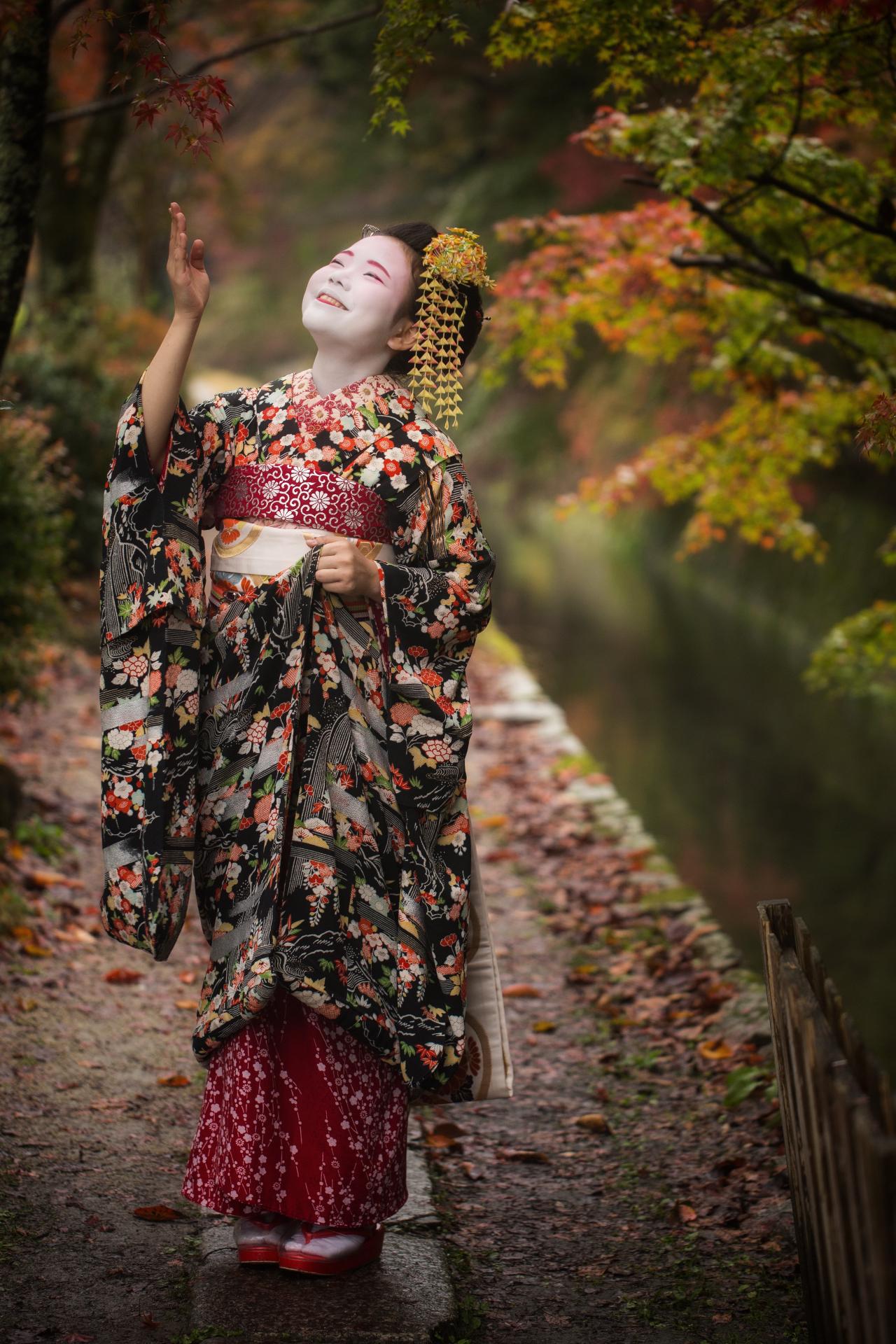 New York Photography Awards Winner - The Four Seasons of Autumn 秋の四季