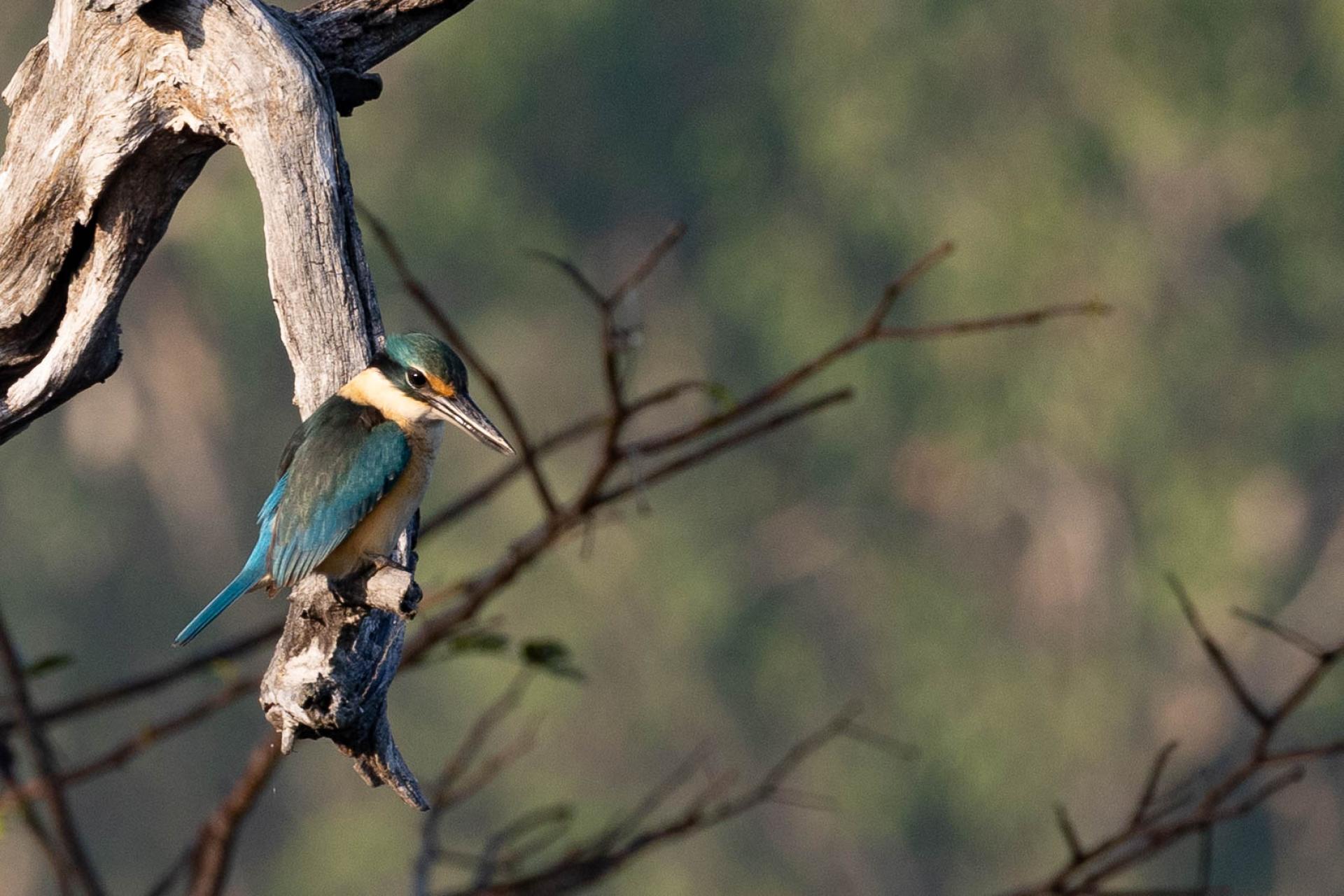 New York Photography Awards Winner - Nature