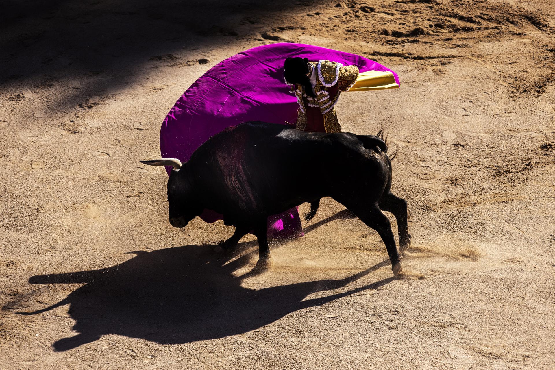 New York Photography Awards Winner - BULLFIGHTING: ART, RELIGON AND DEATH