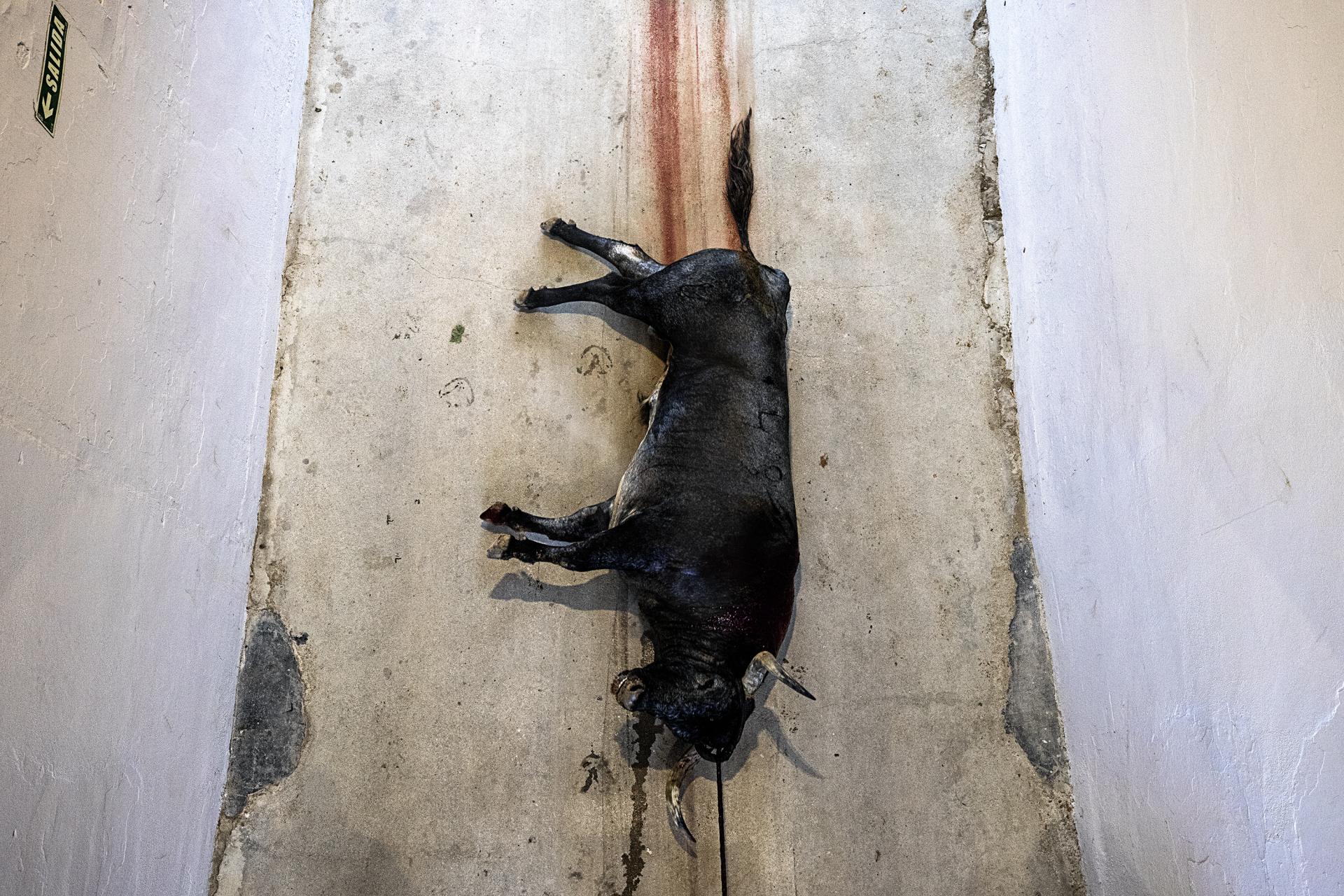 New York Photography Awards Winner - BULLFIGHTING: ART, RELIGON AND DEATH