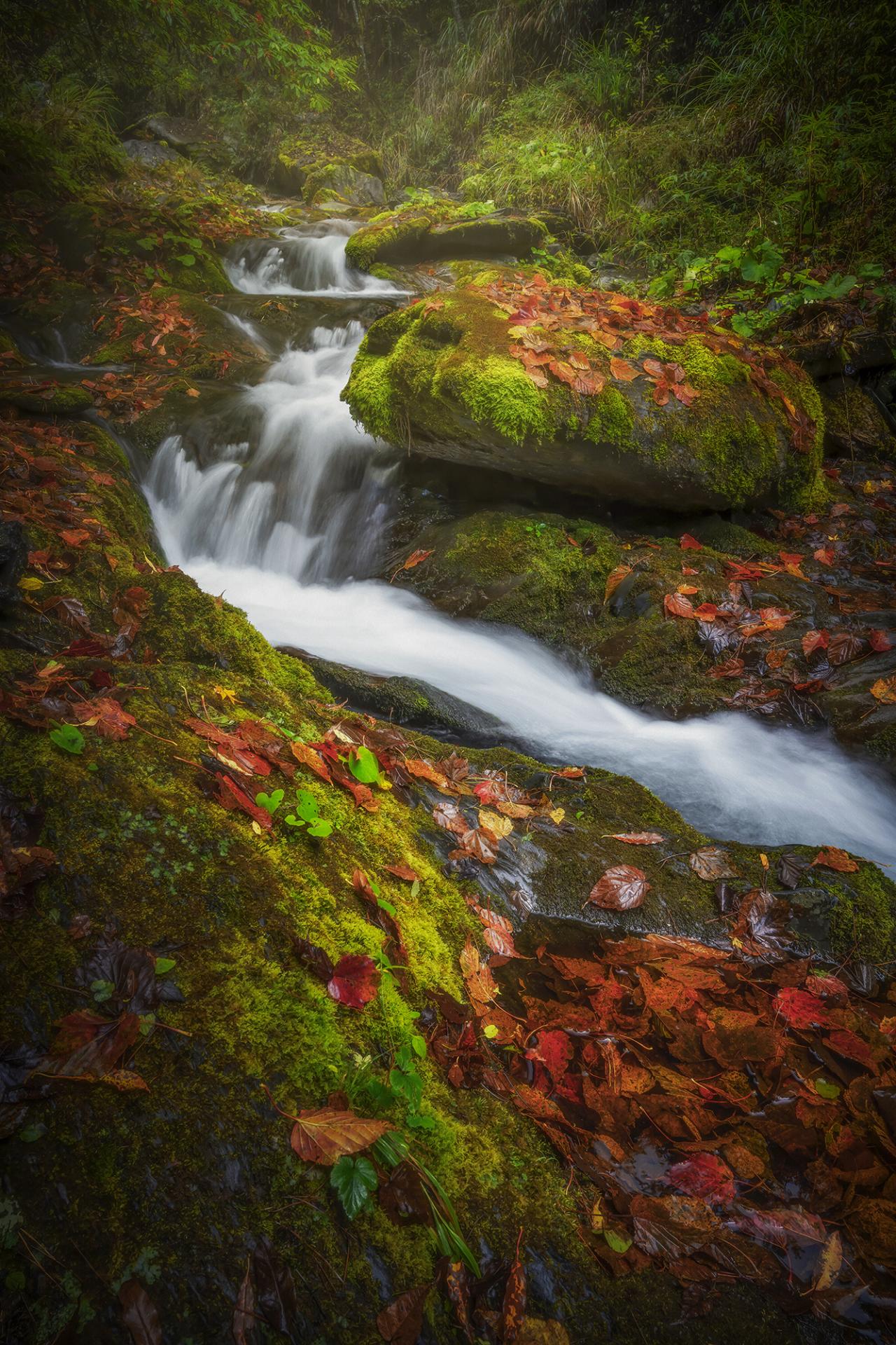 New York Photography Awards Winner - Autumn